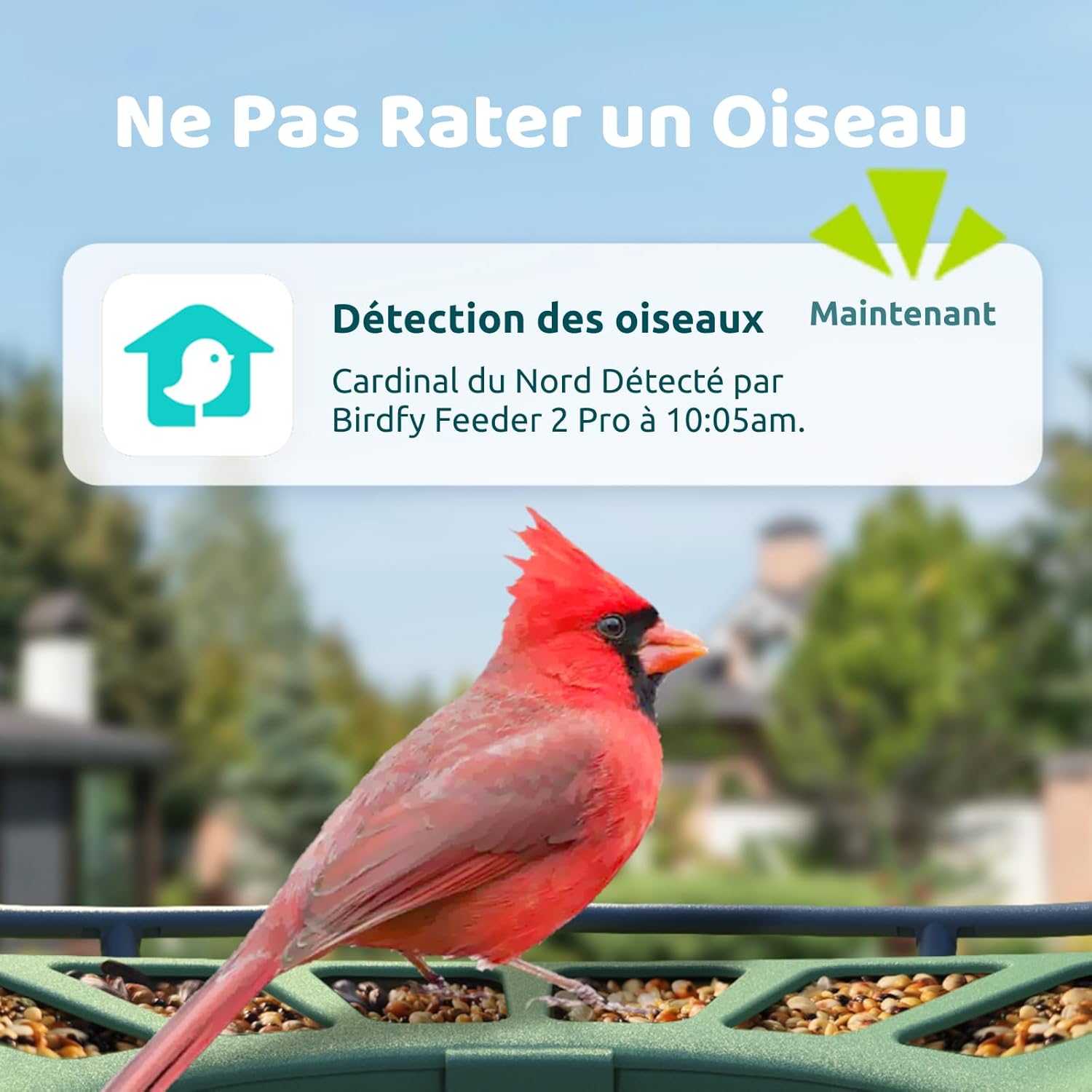 Thumbnail 1 de Birdfy 2 Pro Mangeoire pour oiseaux — double caméra 2K avec IA et vision nocturne couleur
