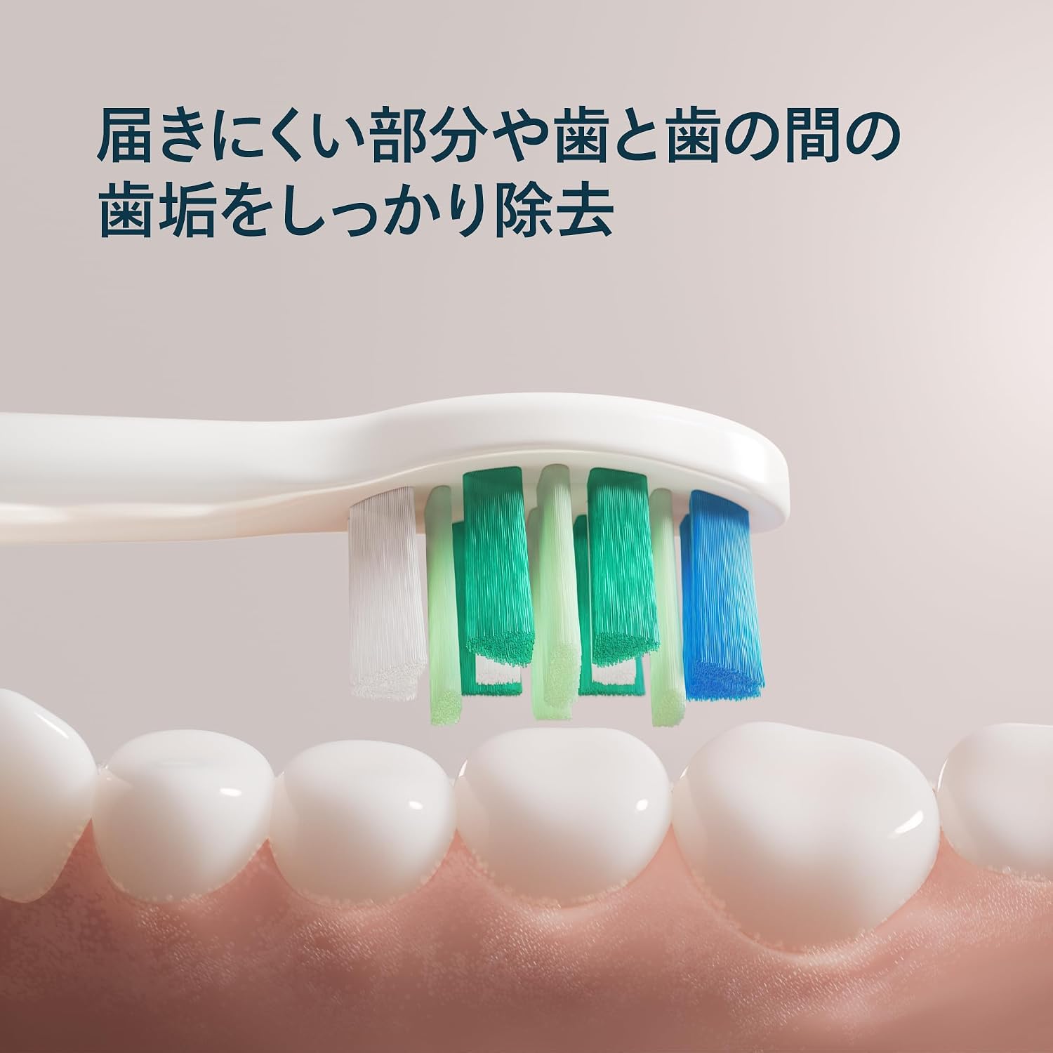 Detalle 2 de フィリップス ソニッケアー 2100シリーズ HX4021/01 電動歯ブラシ 2段階の強さ・イージースタート