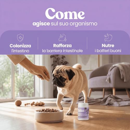 Detalle de Bàu Probiotici per Cani con Fermenti Lattici: Supporto Digestivo Naturale (30 tavolette)