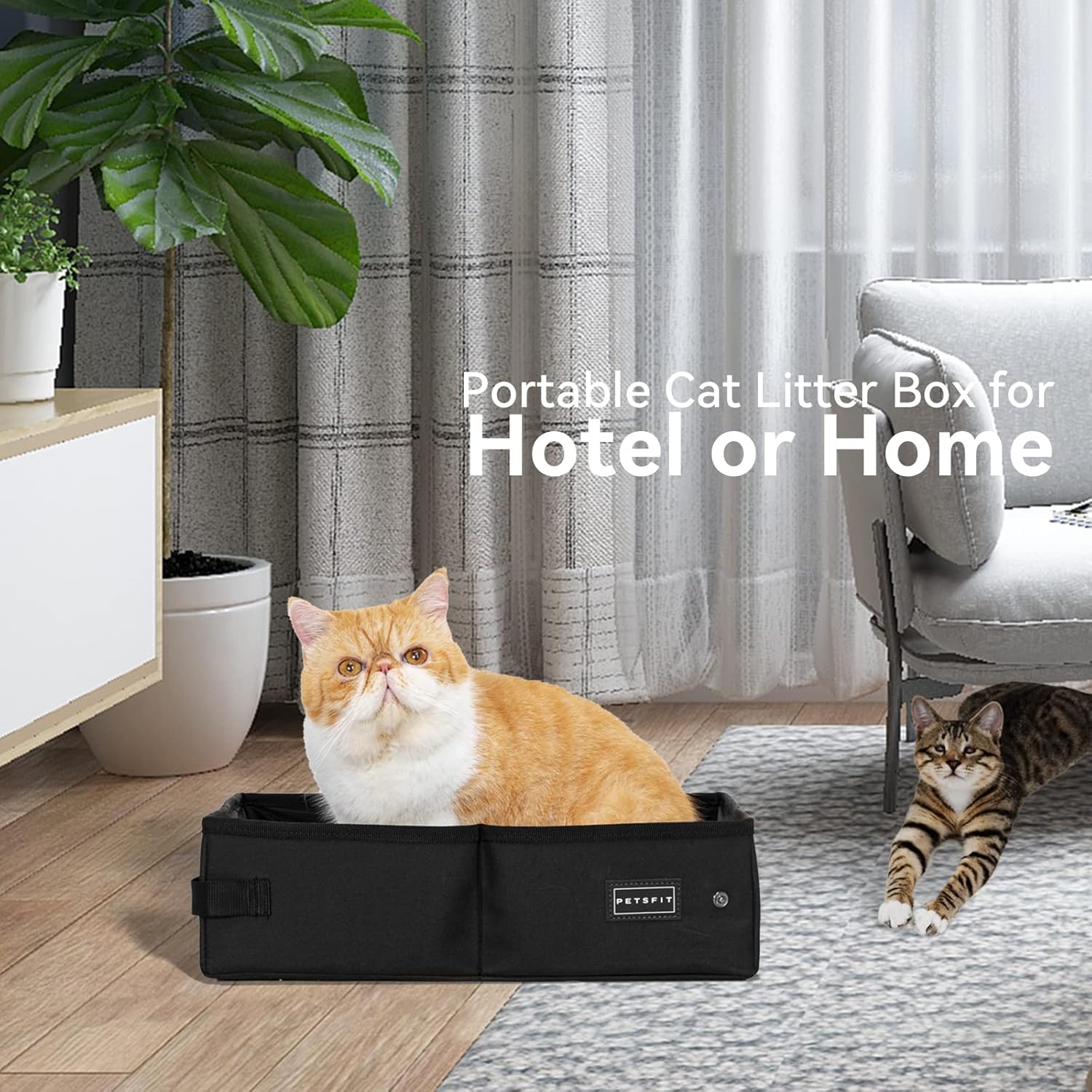 Thumbnail 4 de PETSFIT Small Cat Litter Box with Waterproof Bottom & Zipped Top (40cm x 30cm x 12cm)