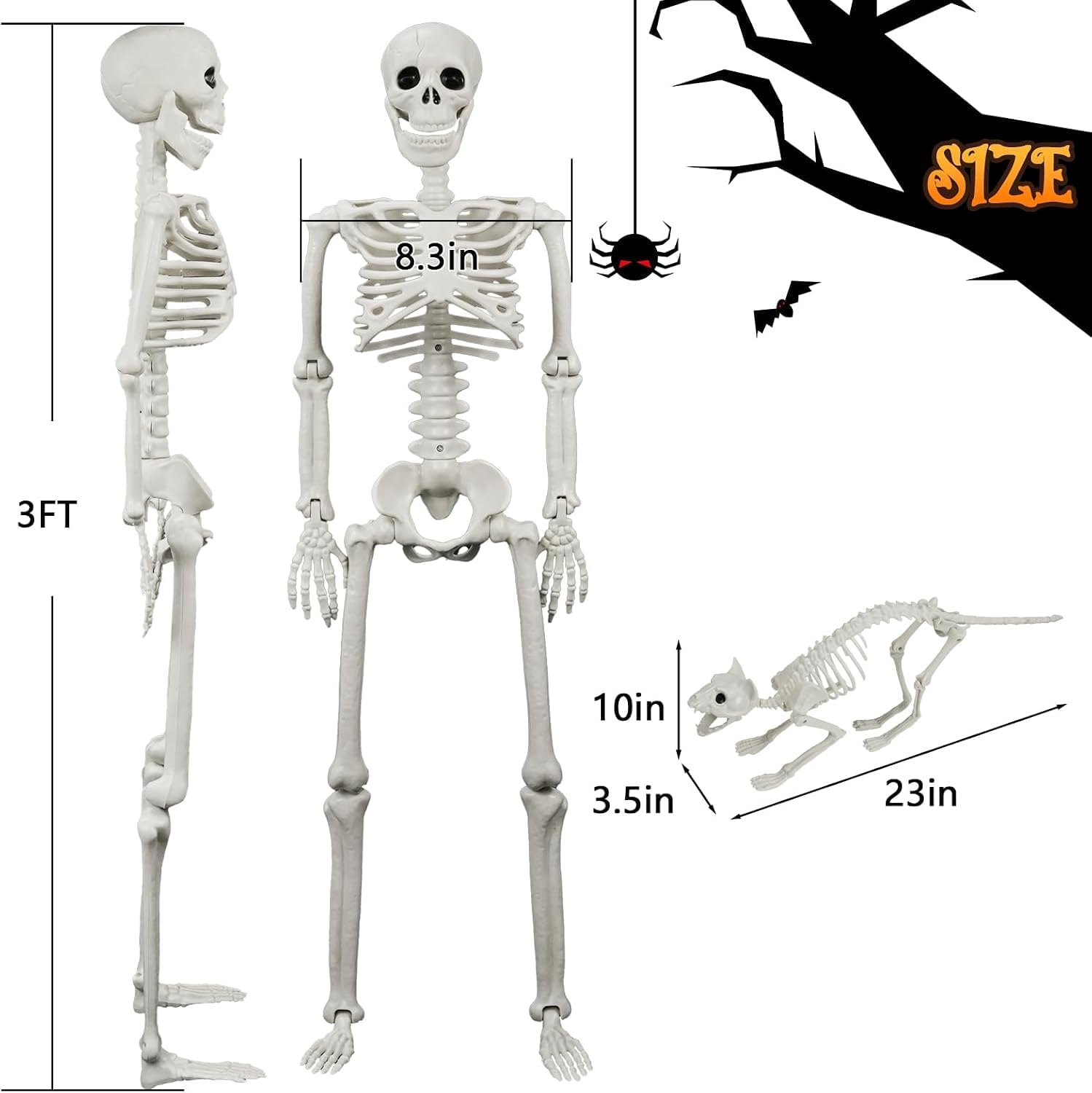 Detalle de IDEAALS SHC Lighted Human and Cat Skeleton Halloween Decorations, 3-Foot Set