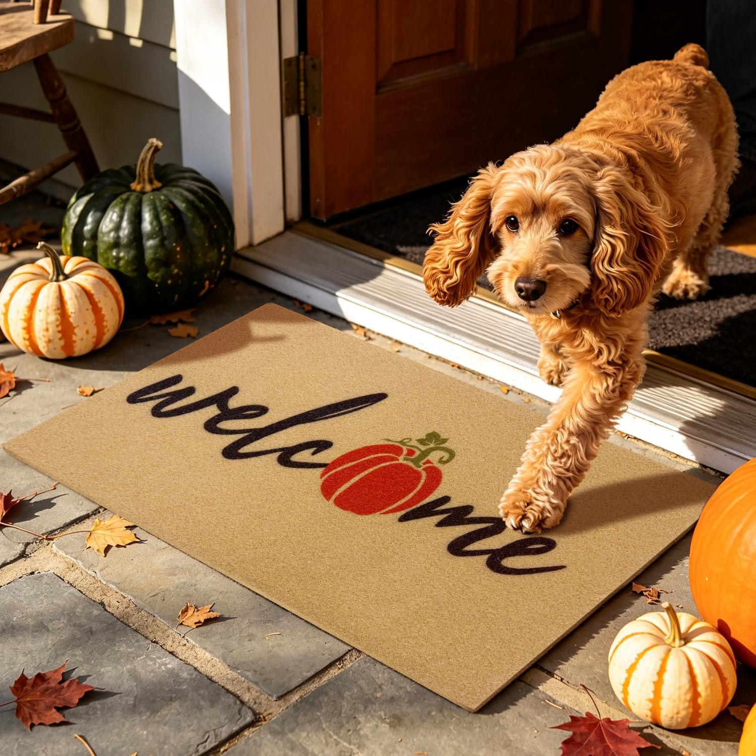 Thumbnail 6 de PKFEDR PK-DM-FBA Pumpkin Welcome Doormat, 17 x 30-Inch Polyester, Non-Slip