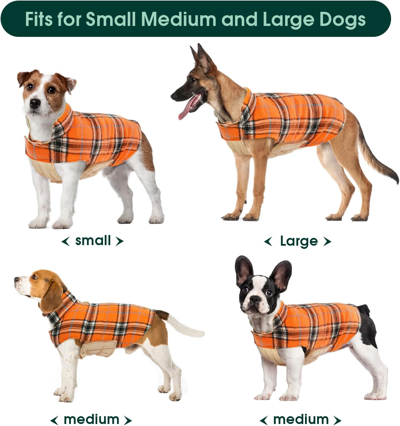 Thumbnail 4 de Kuoser dog coat, size L