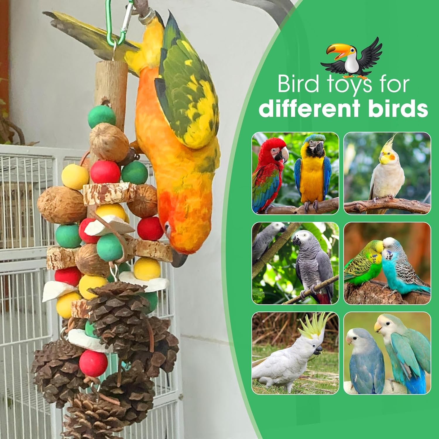 Detalle de MQUPIN Jouets pour perroquets – Jouet en bois naturel et os de seiche pour cacatoès