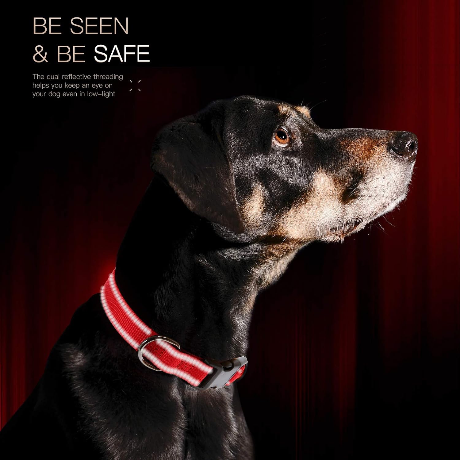 Detalle de HEELE Dog Collar, Reflective, Soft Neoprene Padded Nylon Pet Collar for Medium Dogs – Red, M (34-52cm)