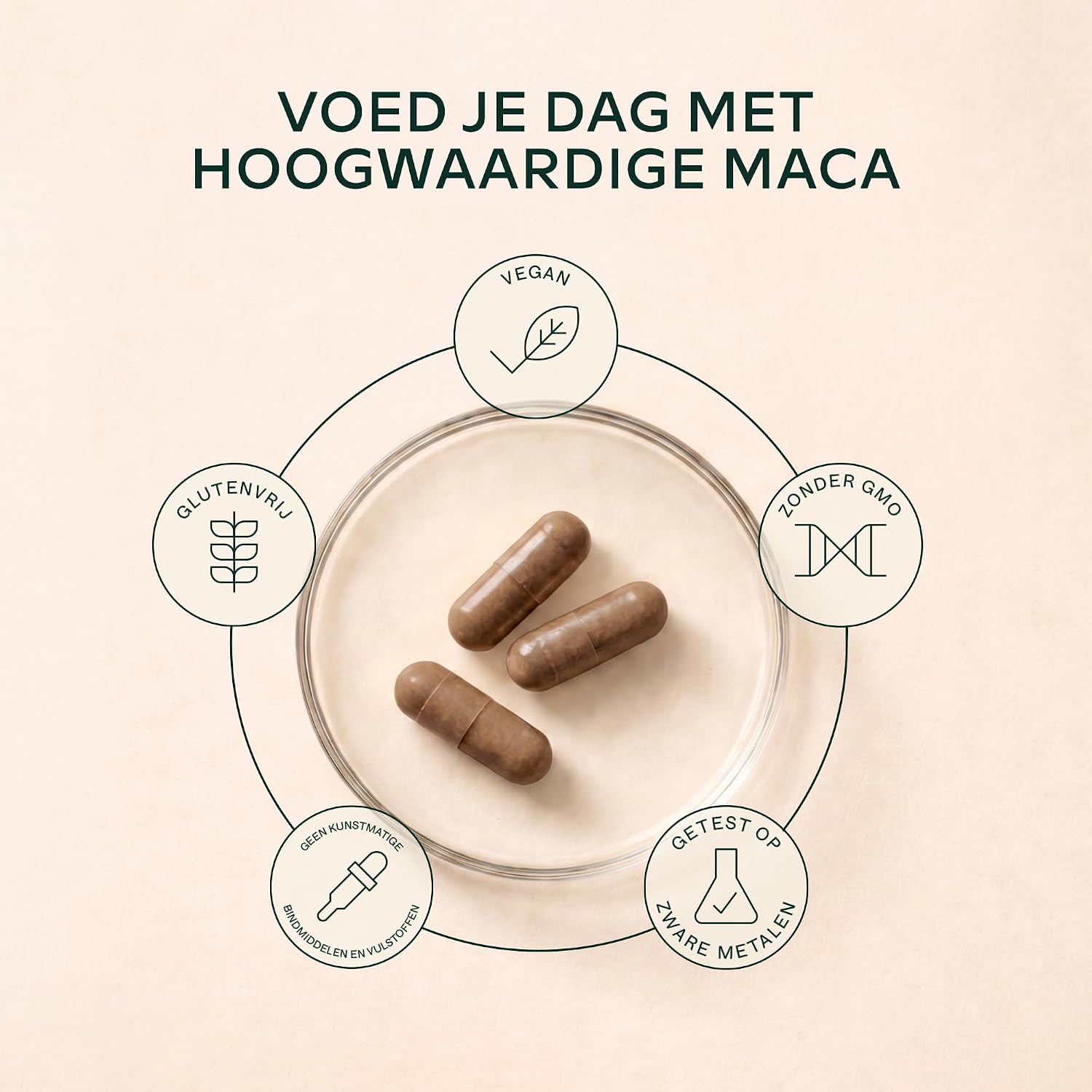 Thumbnail 5 de AAVALABS Zwarte & Gele Maca-wortel 57.000 mg, 120 vegan capsules