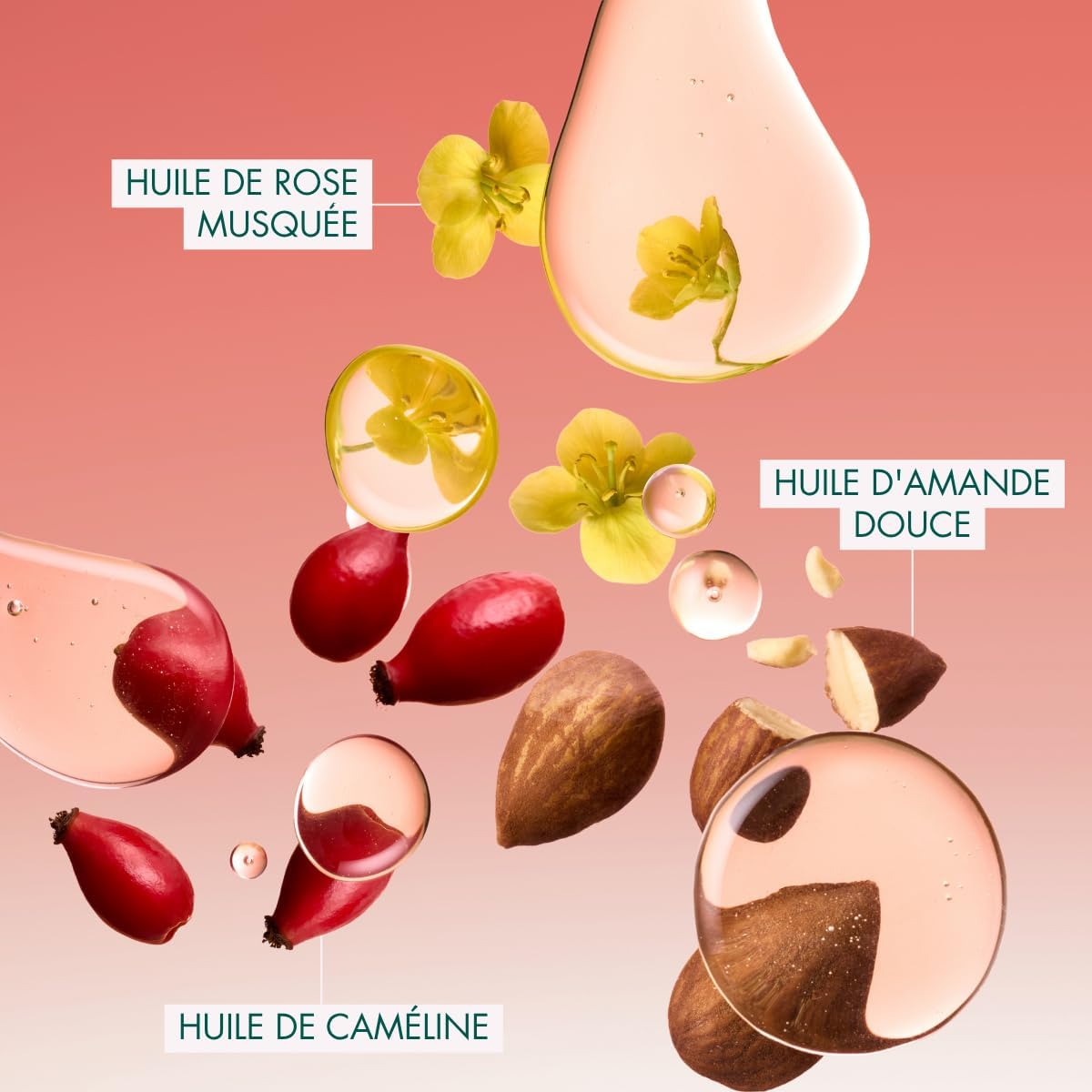 Detalle de Melvita Huile pour Vergetures – Huiles Riches, soin corporel pour l’élasticité et la régénération (100 ml)
