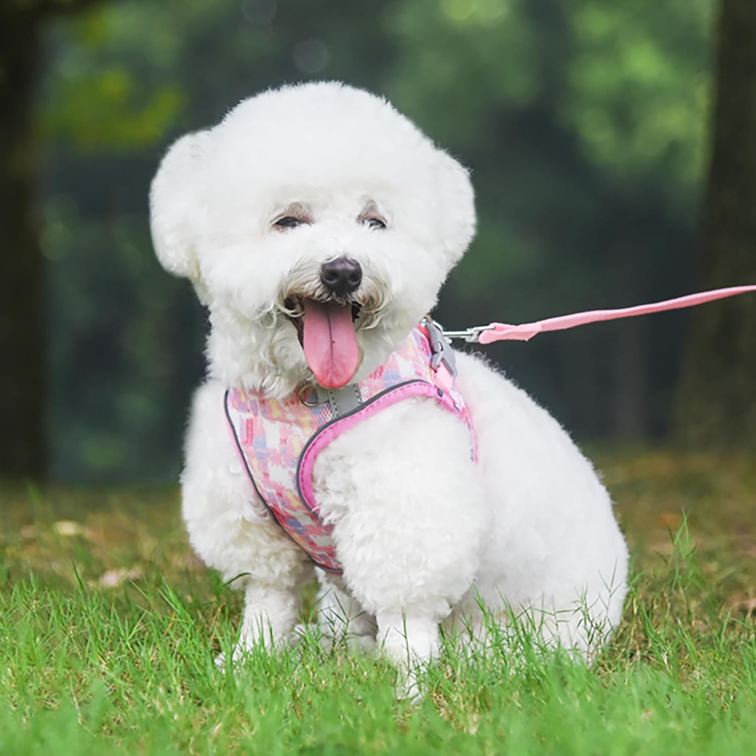 Detalle de PawSailor No Pull Dog Harness and Leash Set (Pink XXS) with Floral Print