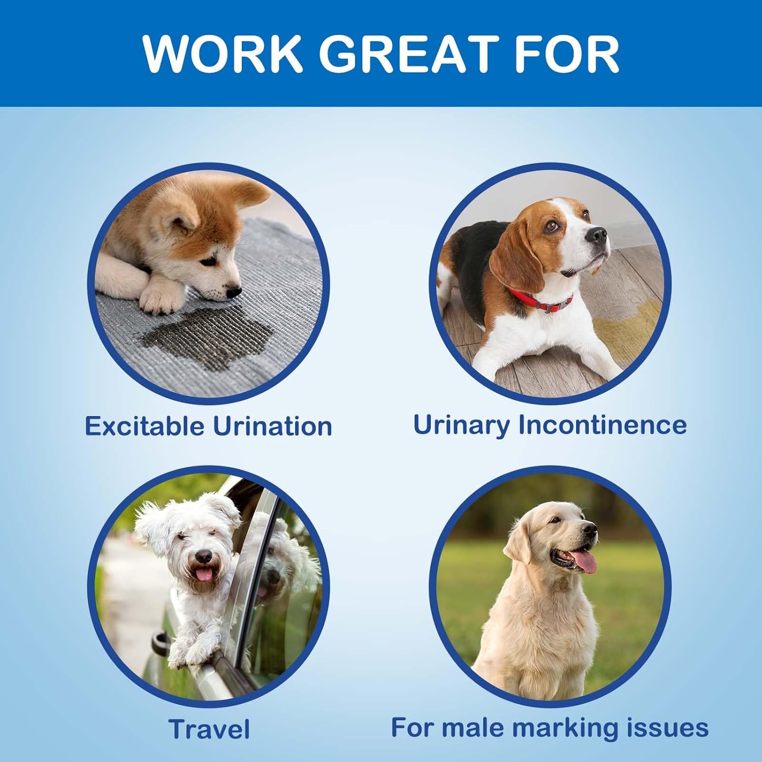 Thumbnail 3 de Flying Paws male dog nappies, 40 count