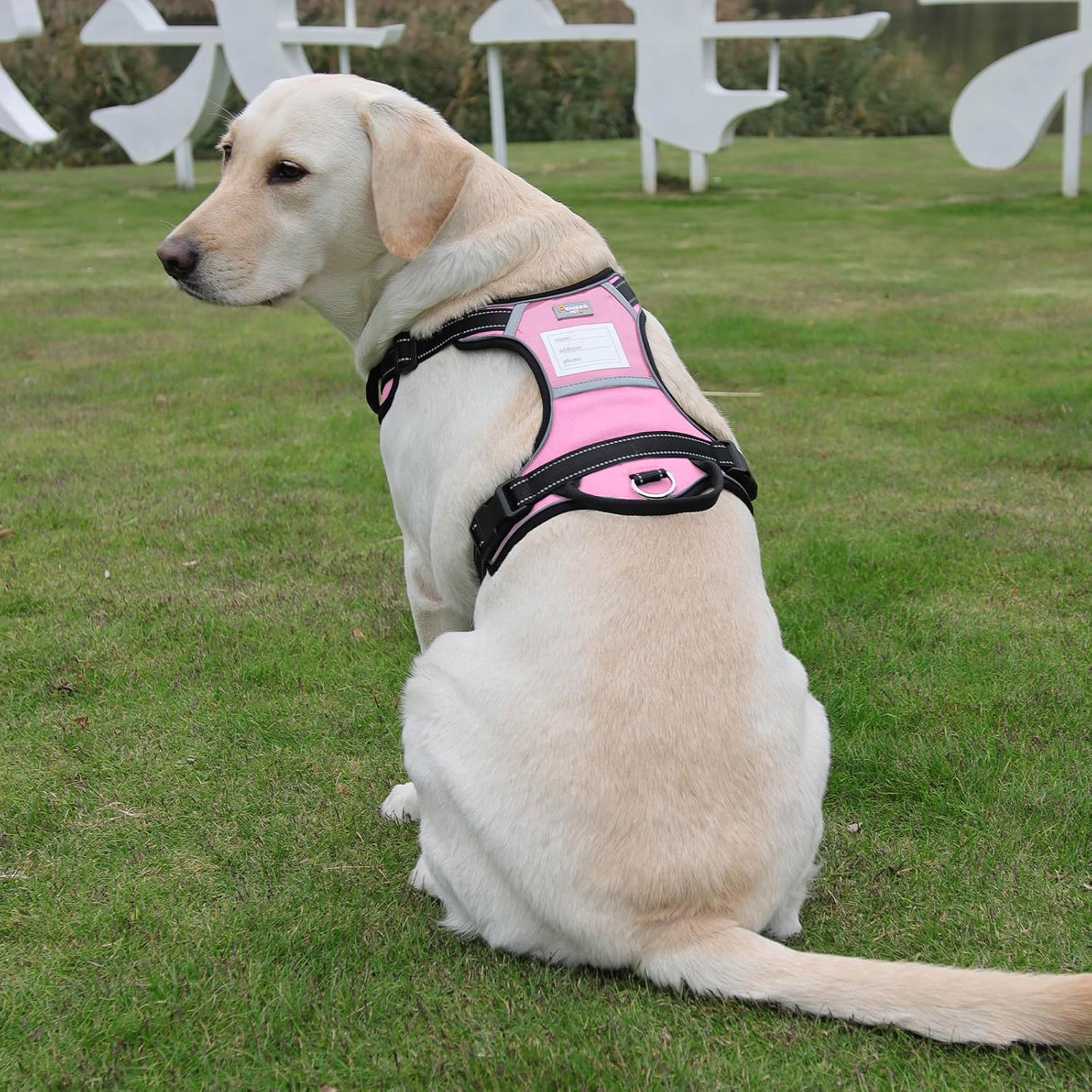 Detalle de PenSeepet Dog Harness, Nylon