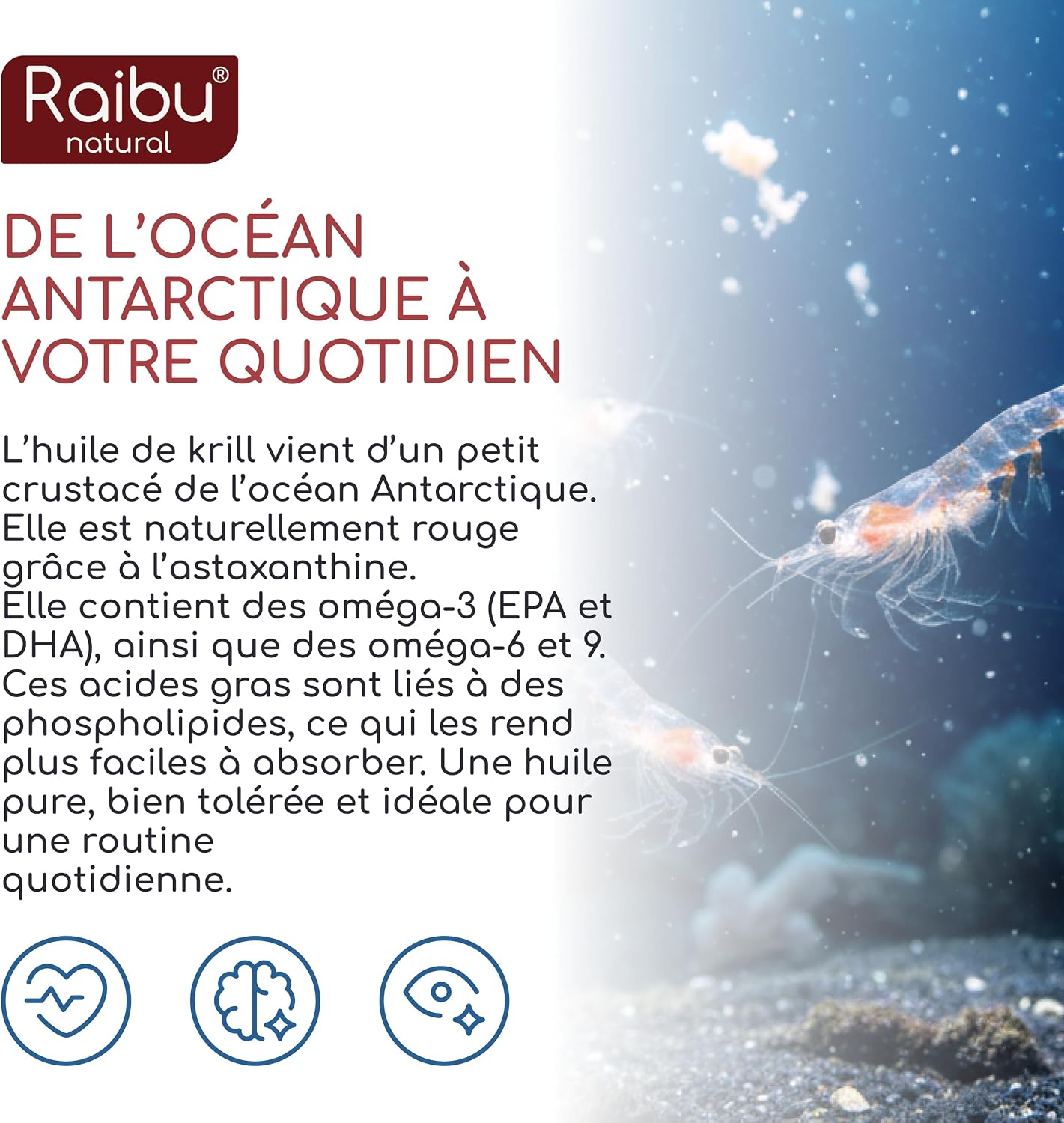 Thumbnail 3 de Huile de Krill d’Antarctique 200 Gélules – 1 200 mg/jour, astaxanthine, Oméga-3 (EPA/DHA) et phospholipides