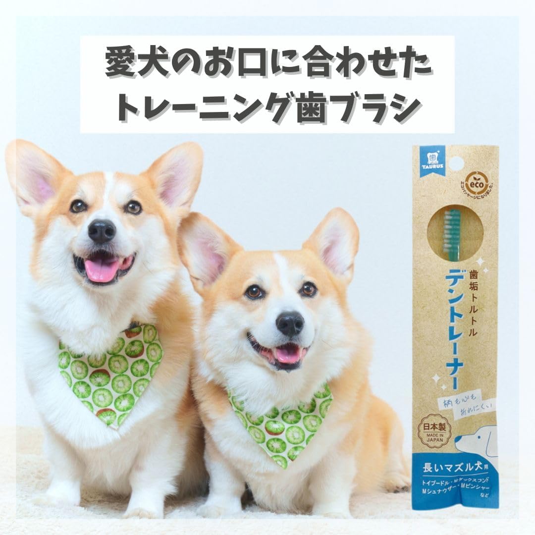 Detalle 2 de トーラス デントレーナー 長いマズル犬用歯ブラシ 8本セット・短毛タイプ