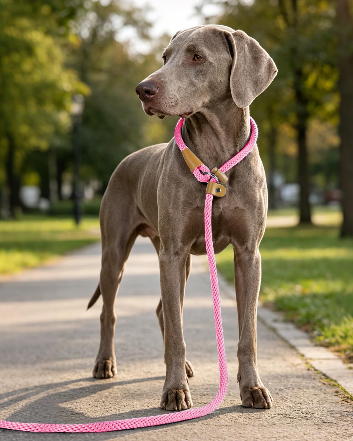 Thumbnail 6 de Lynxking 1/2-Inch Slip Lead Dog Leash, 5 ft, Pink, Padded Handle