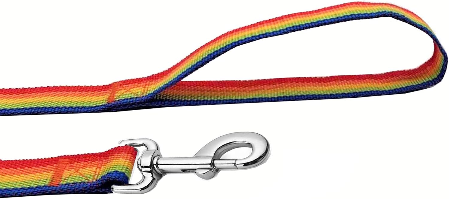 Detalle de Nylon Dog Leash in Rainbow