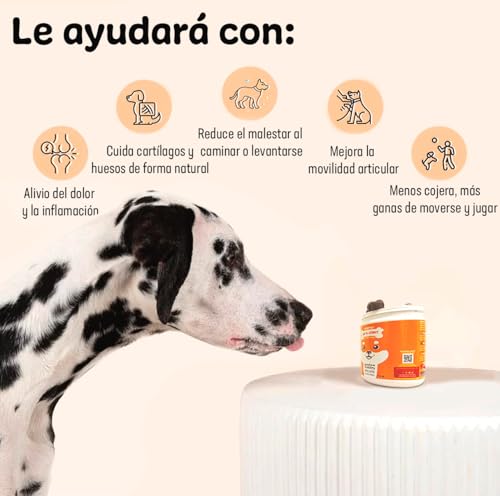 Detalle 2 de Droolings Condroprotector para Perros y Antiinflamatorio – 135 masticables, cuidado articular y movilidad