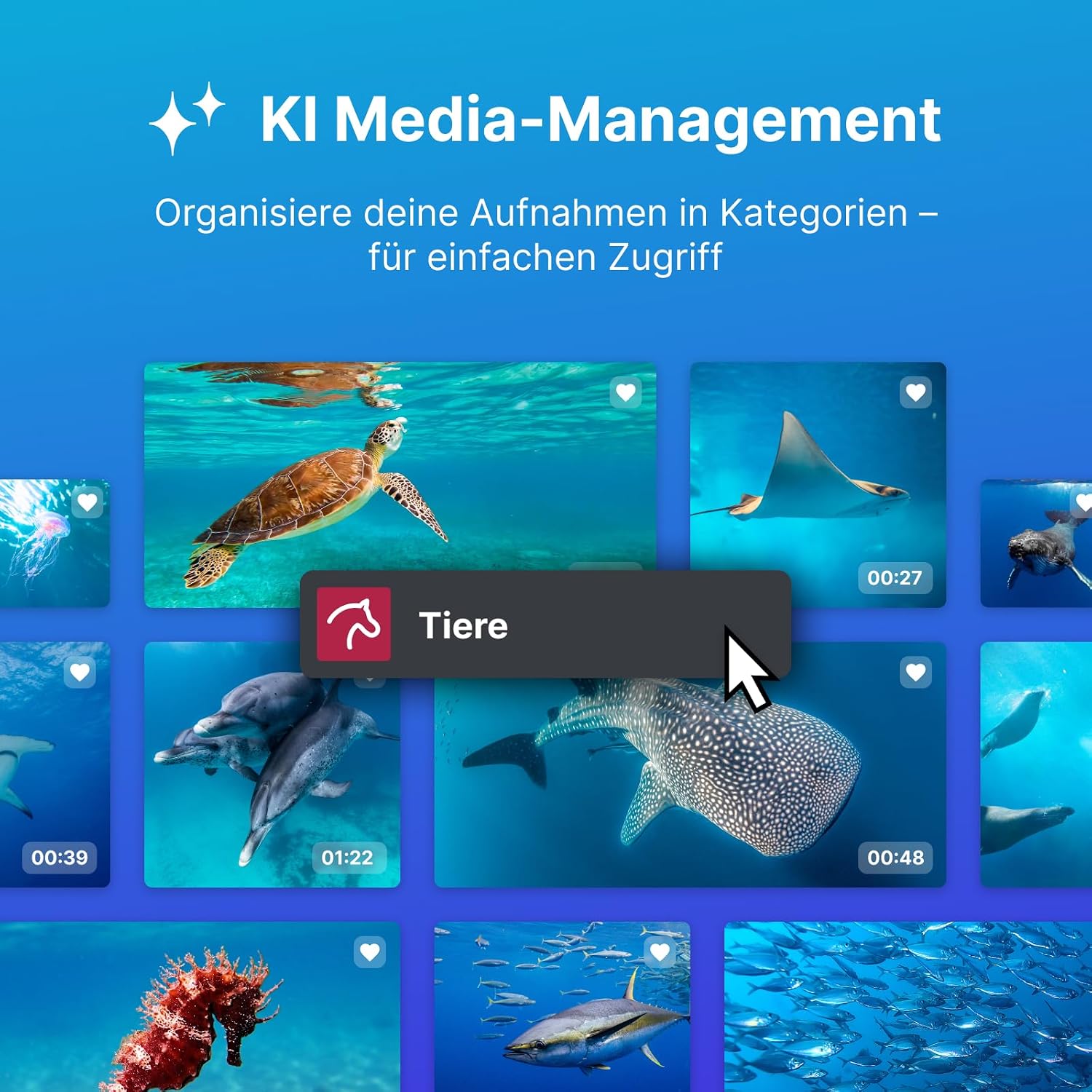 Detalle de MAGIX Video deluxe Premium 2026 – Videobearbeitung für Windows 10/11, 2 Geräte