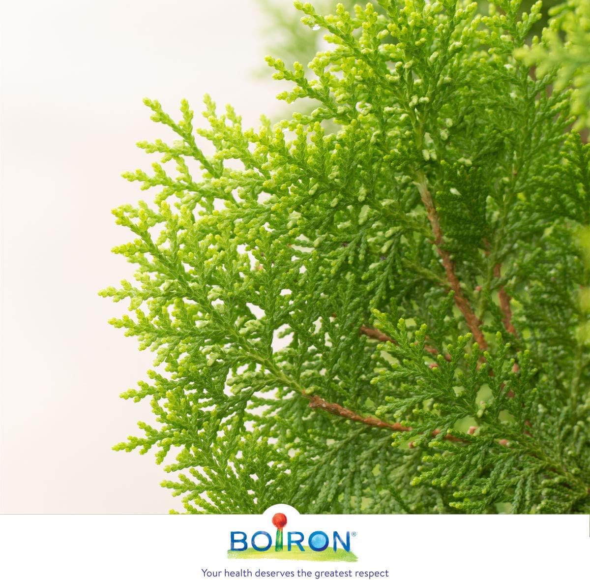 Thumbnail 2 de Boiron homeopathic medicine 30CH