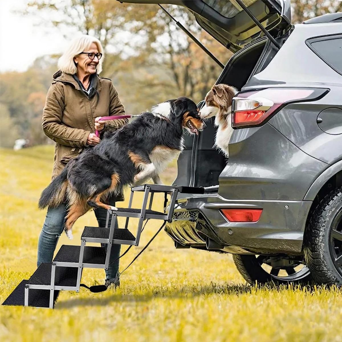Detalle de Hundetreppe Auto 6 Stufen – Klappbar, Aluminium, bis 70 kg, 80 cm Hoch