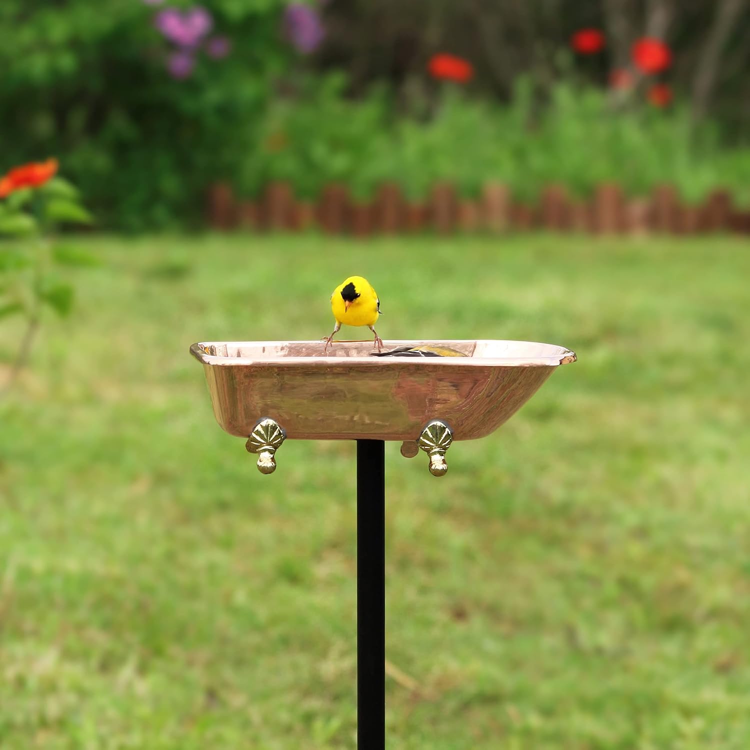 Detalle 2 de Good Directions Bird Bath, Pure Copper