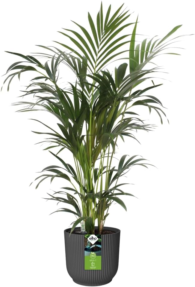 Detalle de Elho All-in-1 Vibes Rond 18 avec Système D'Irrigation - Anthracite