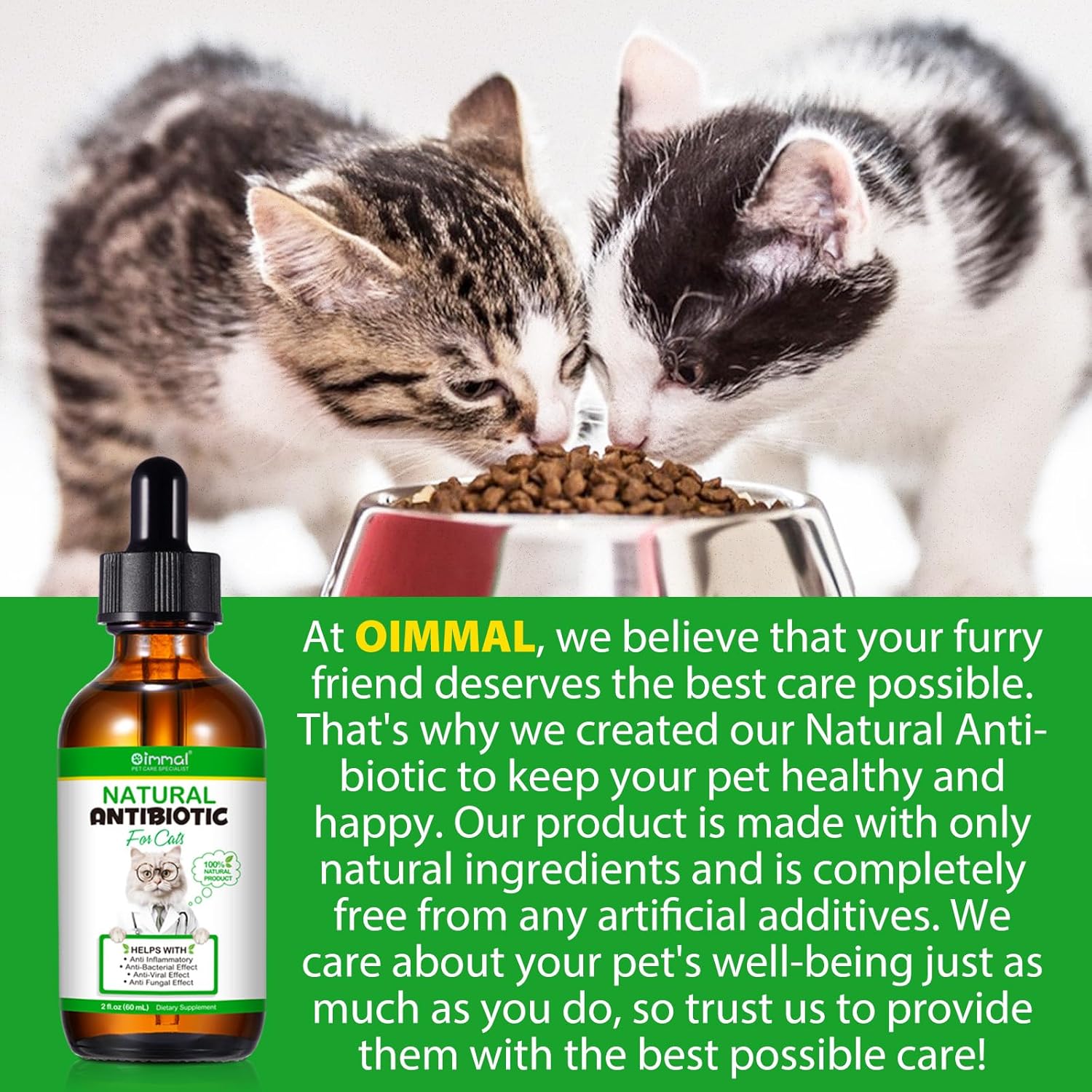 Thumbnail 5 de Natürliches Antibiotikum für Katzen