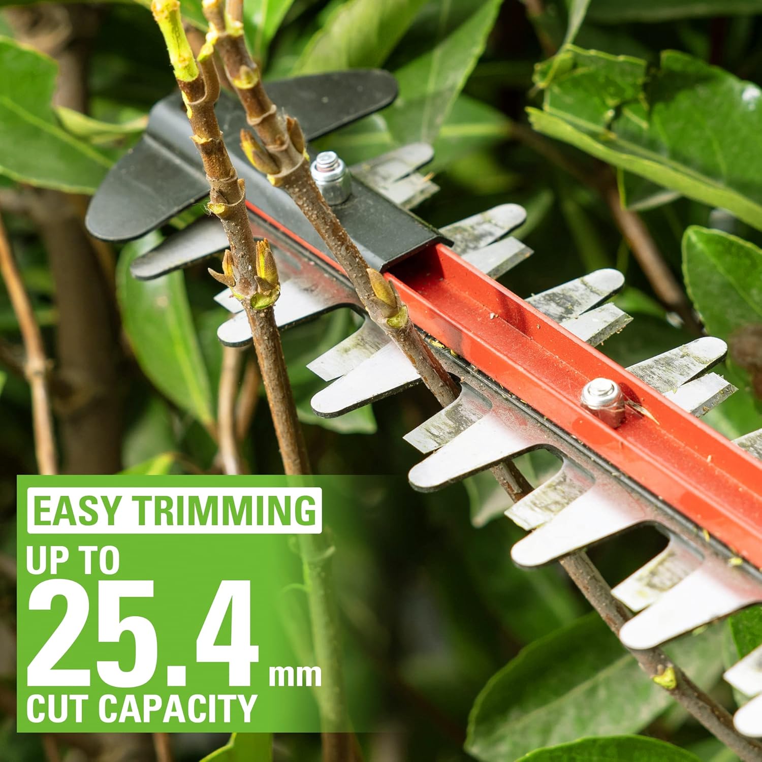 Thumbnail 3 de Greenworks 24V Cordless Brushless Hedge Trimmer G24HT56II (56cm) – Dual Action Blade