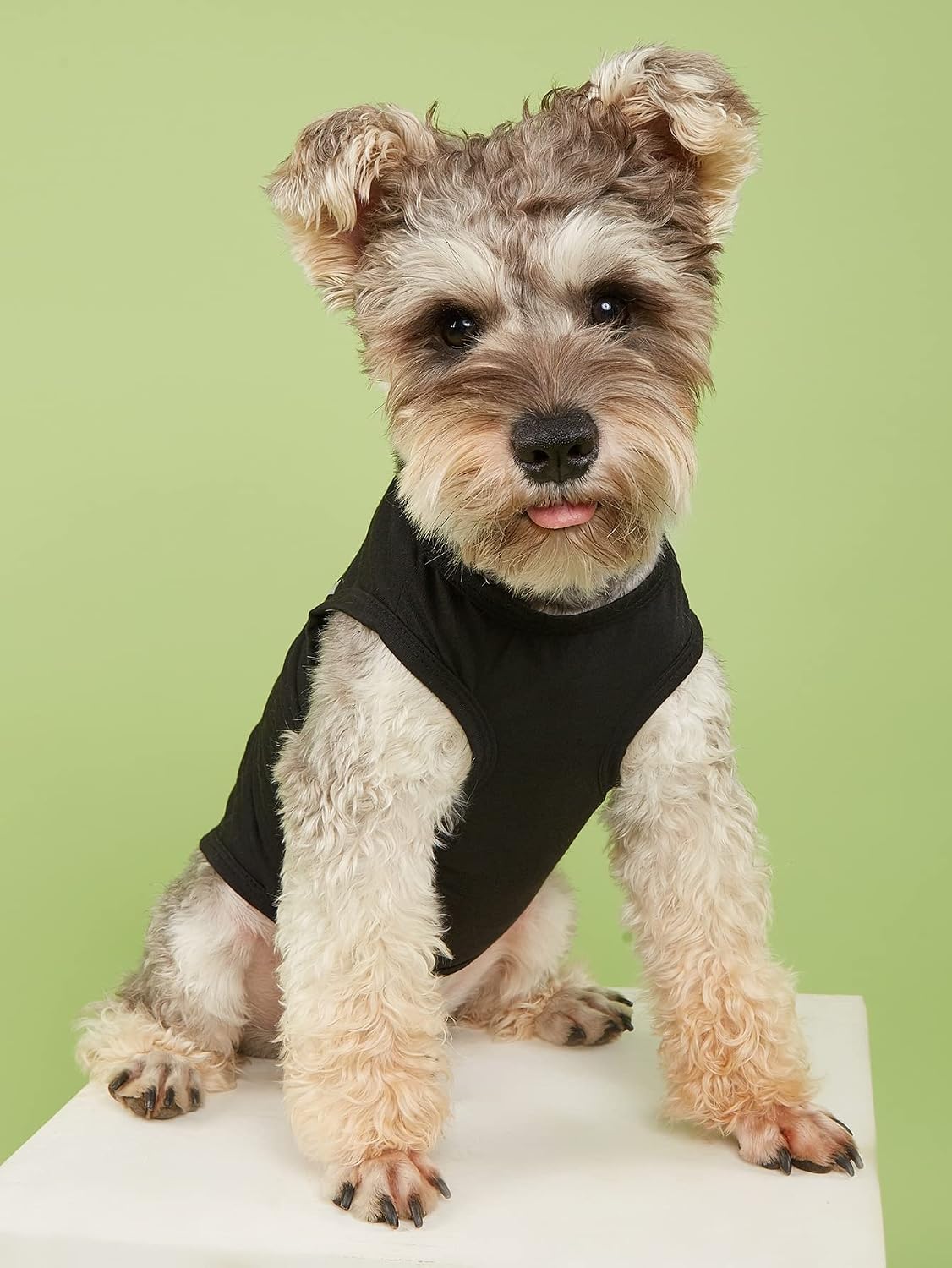 Thumbnail 4 de Dog T-Shirts, XS