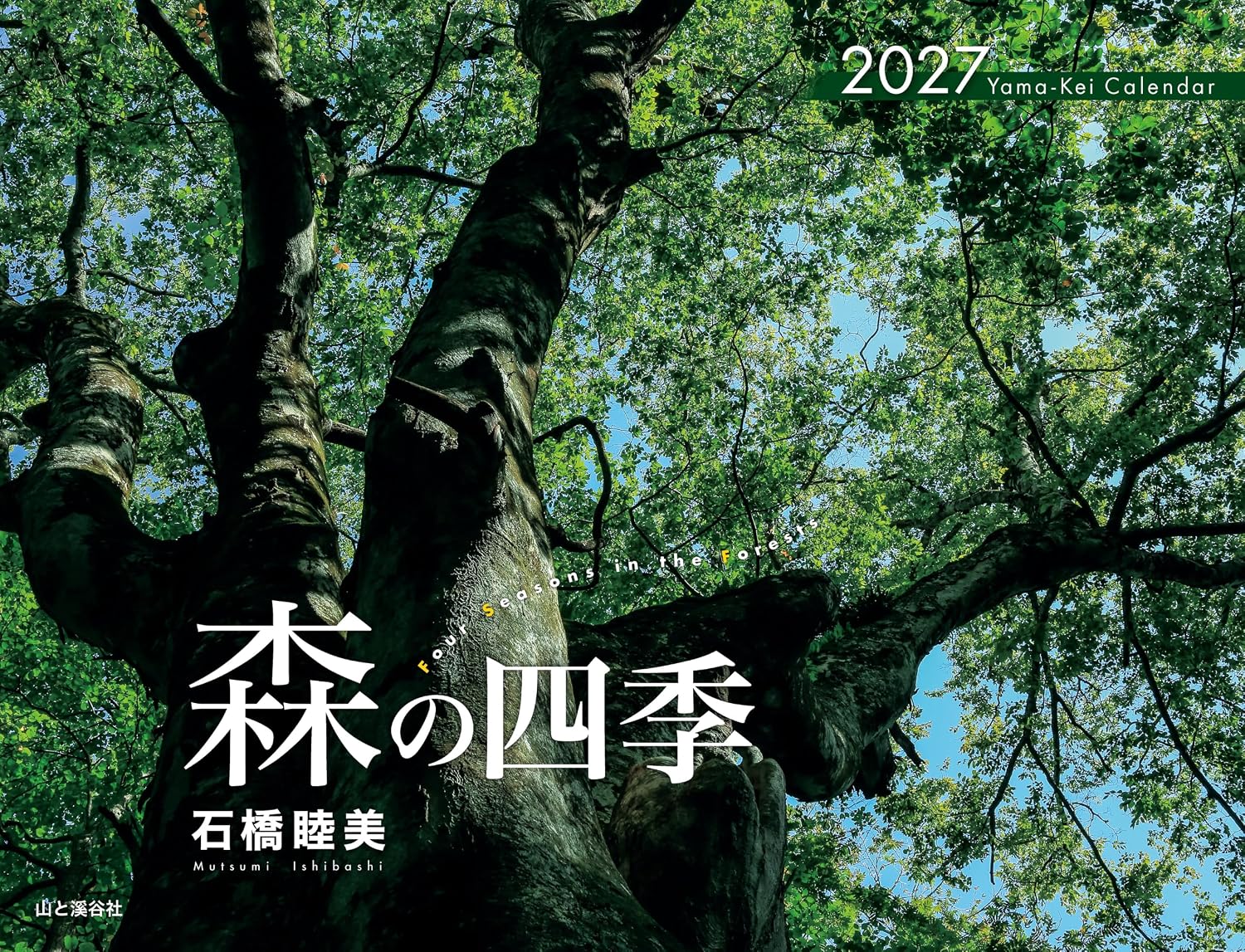 Detalle de ヤマケイカレンダー2027 森の四季 壁掛け月めくり・日本の森の風景