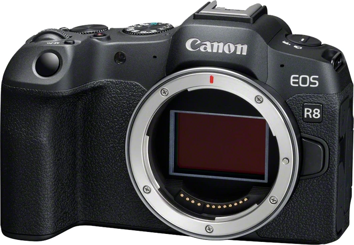 Thumbnail 31 de Canon EOS R8 Starterset 24,2 MP
