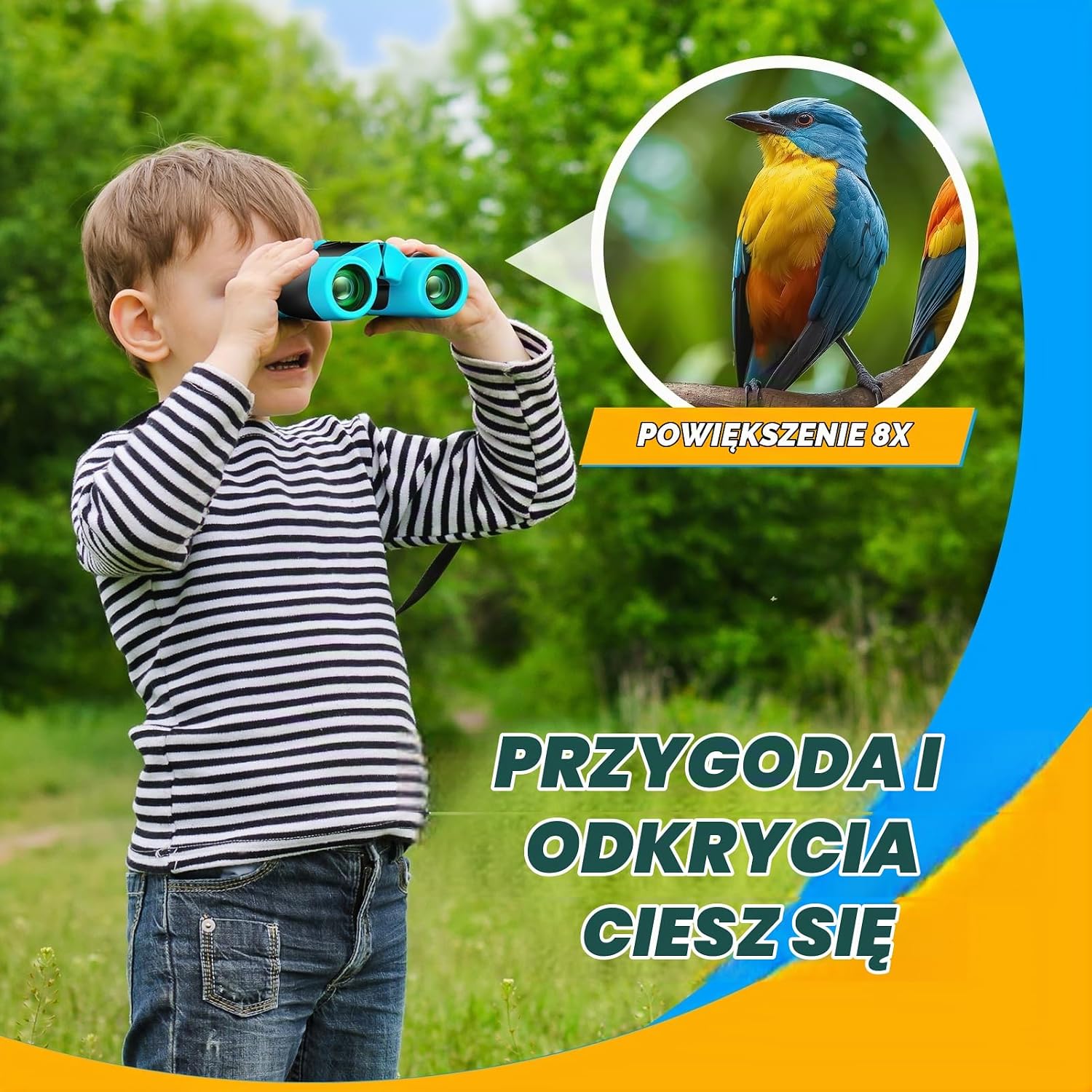 Detalle 2 de Anginne 1 – lornetka dla dzieci 8x21 z przewodnikiem po ptakach