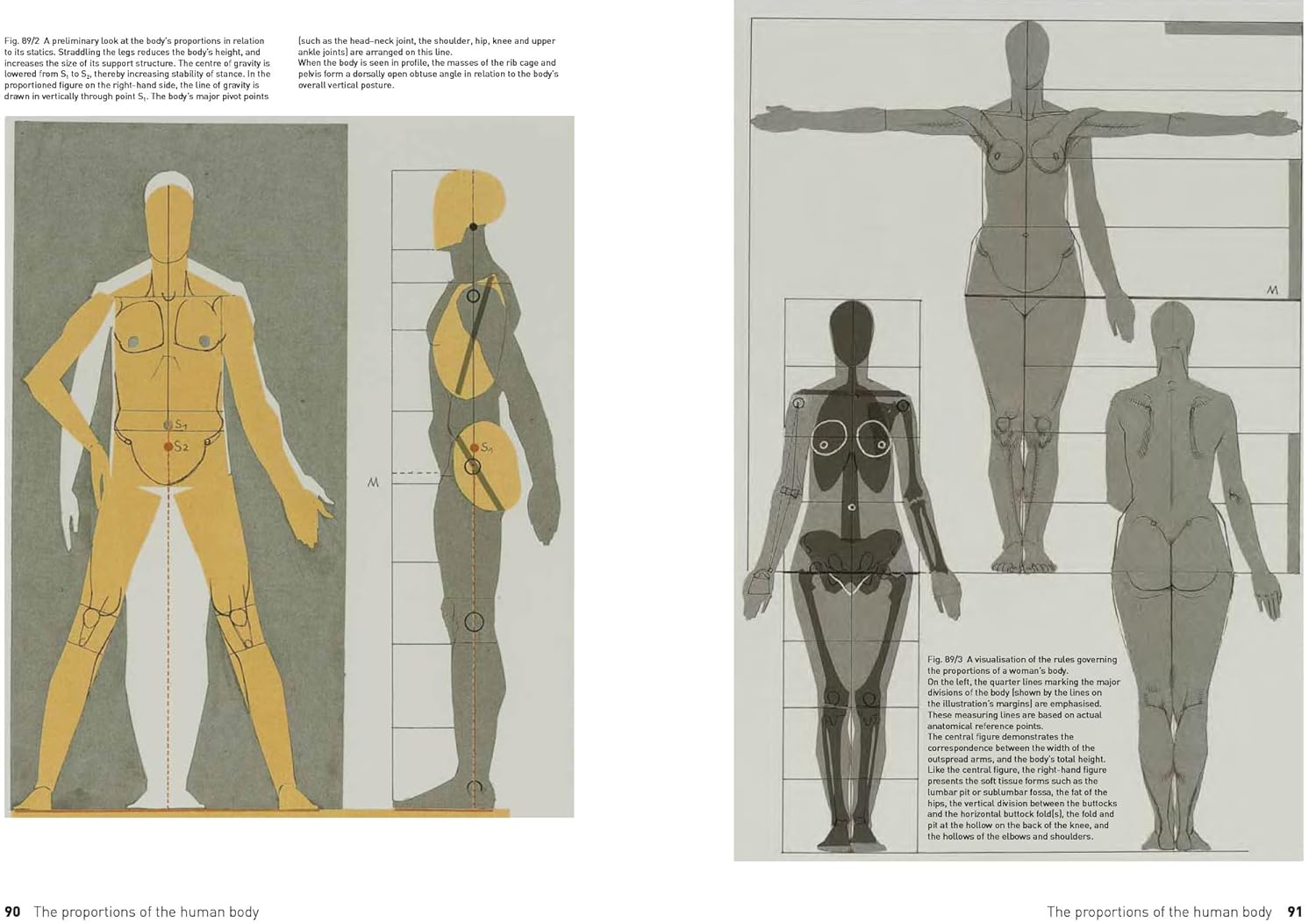 Thumbnail 4 de Search Press The Complete Guide to Anatomy for Artists & Illustrators (210mm x 295mm)