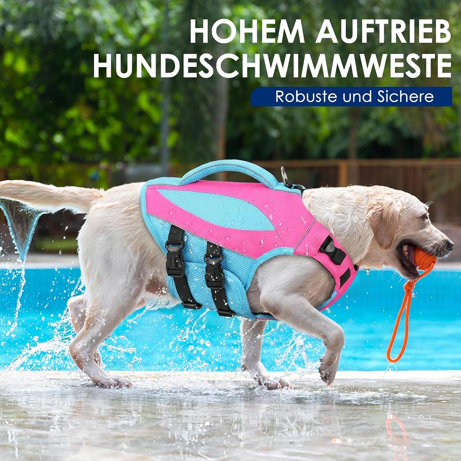 Detalle de AOFITEE Schwimmweste Hund Klein – Verstellbar, Reflektierend, Hoher Auftrieb