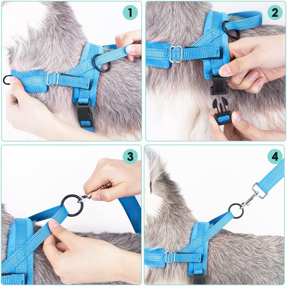 Thumbnail 5 de Eyein Dog Harness Small Dog (XS) – Anti-Pull Heavy Duty Vest with Reflective Lead Set