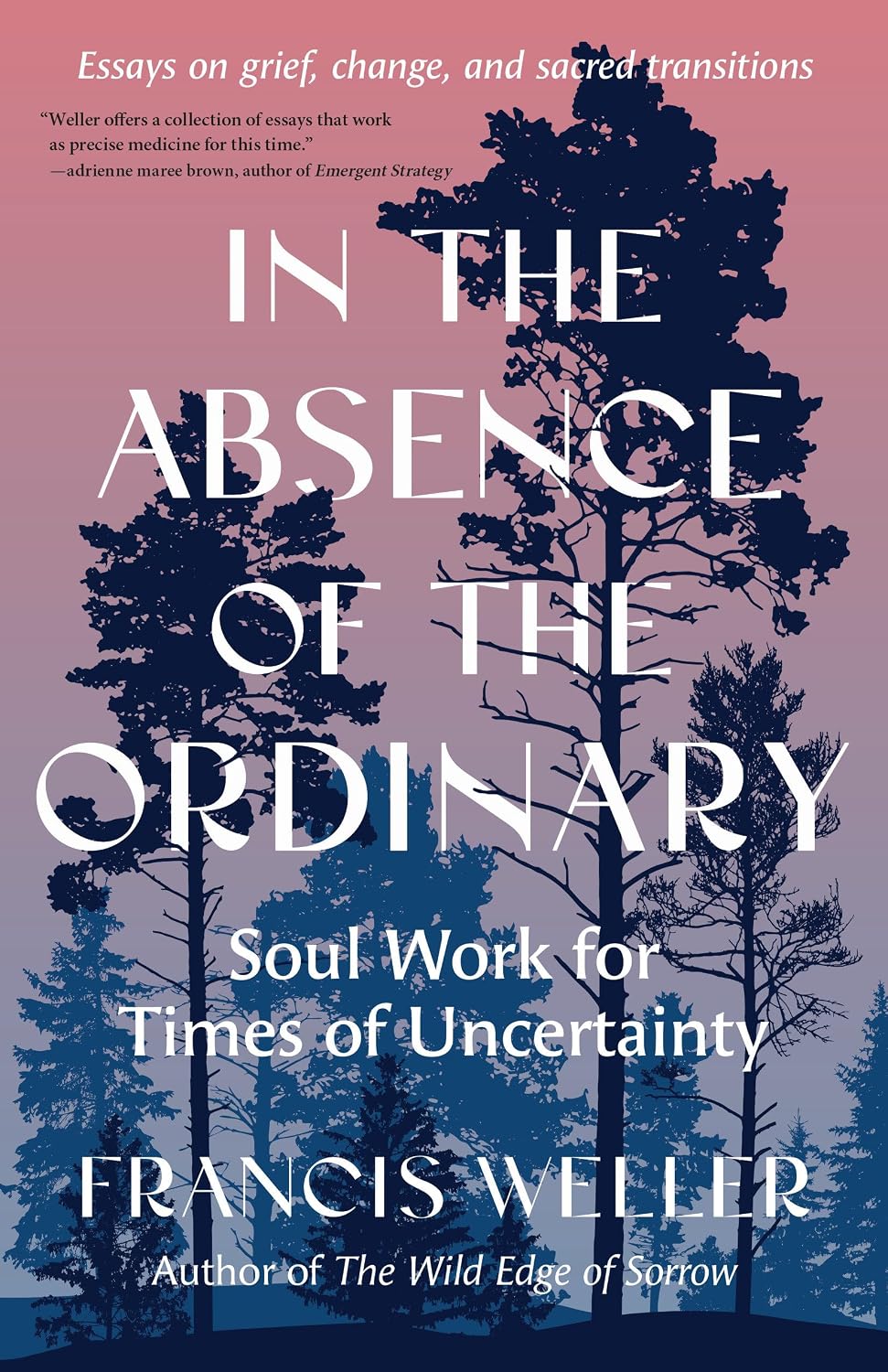 Detalle de In the Absence of the Ordinary: Soul Work for Times of Uncertainty – essays over rouw en verandering