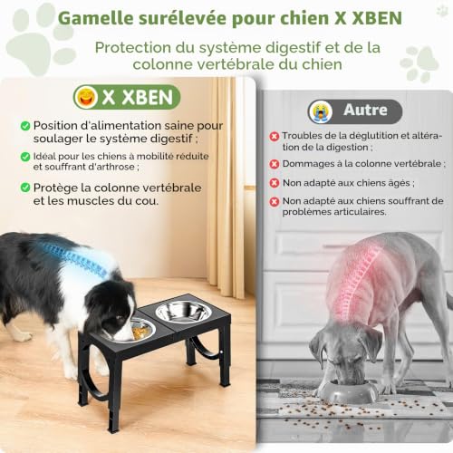 Thumbnail 6 de X XBEN Gamelle surélevée pour chien, 5 hauteurs réglables et 2 bols inox