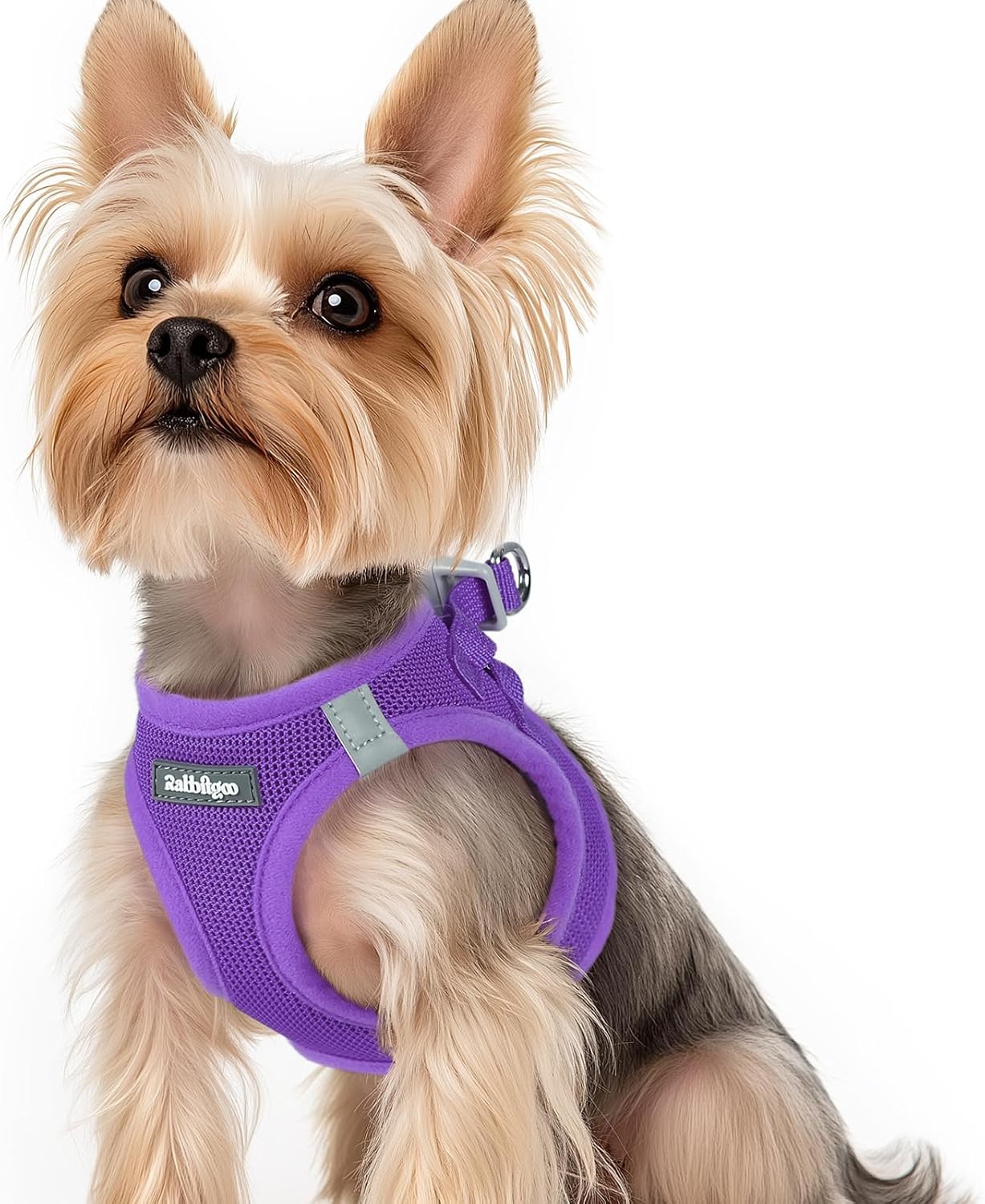 Detalle de rabbitgoo Hundegeschirr Kleine Hunde XS – Schritt-in Mesh-Geschirr mit Reflektivität (Lila)