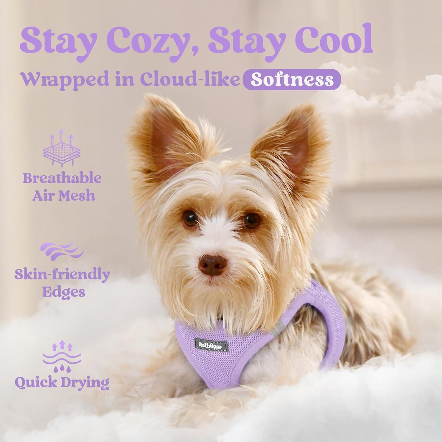 Thumbnail 2 de rabbitgoo Dog Harness Small Dog (Size M) – Step-in Soft Mesh, Reflective, Light Purple