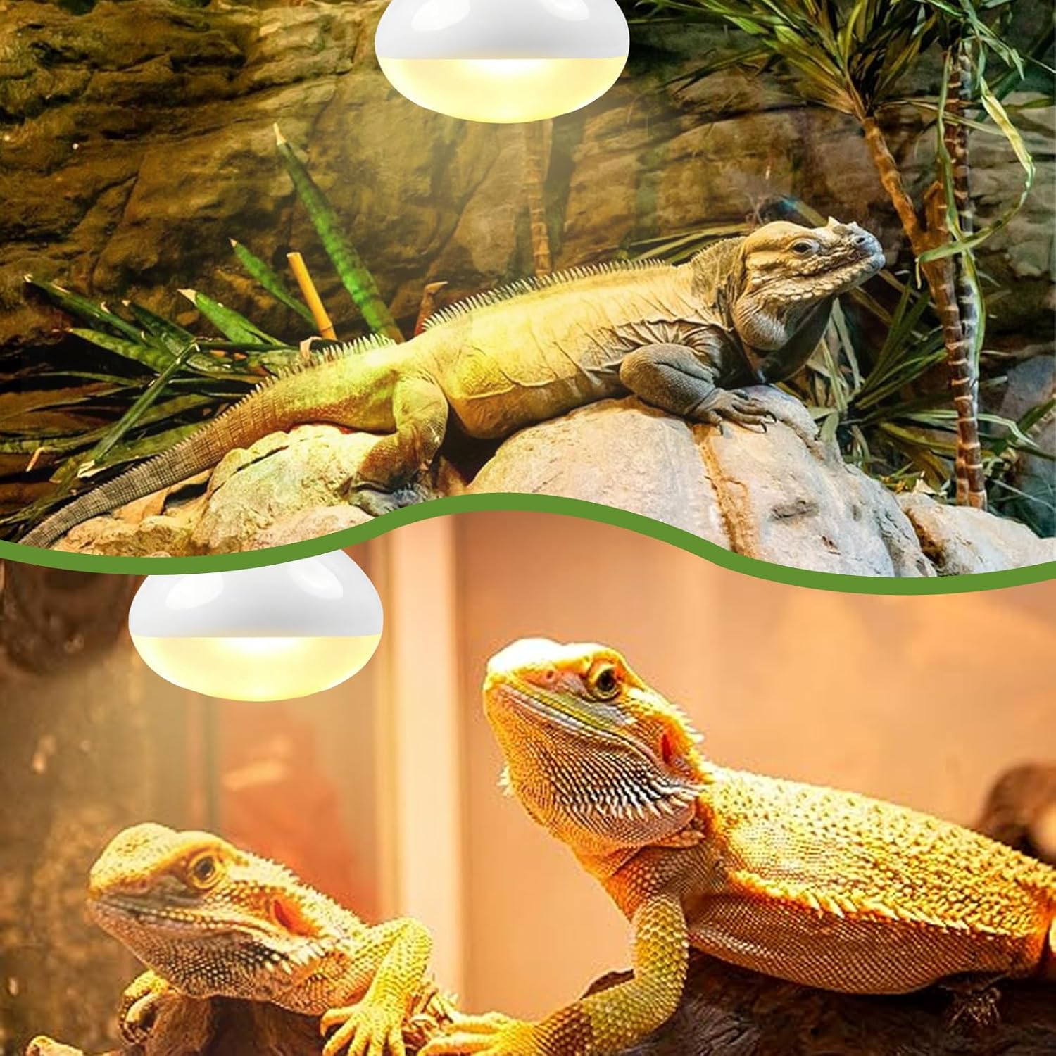 Thumbnail 4 de Houbobo 2 Pack Reptile Heat Lamp Bulbs, 100W – E27 Base for Terrarium Basking