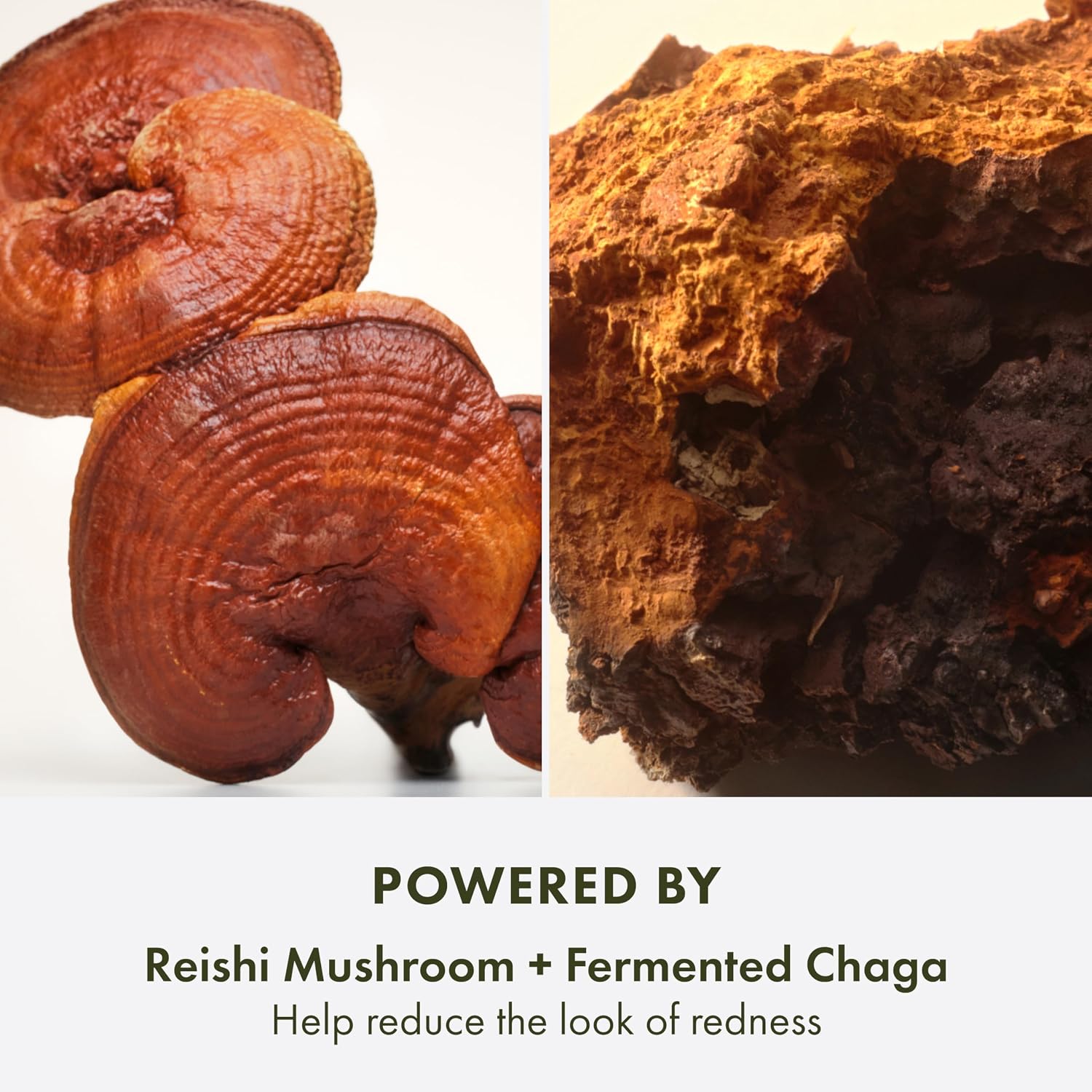 Thumbnail 4 de Origins Mega-Mushroom Lightweight Moisturizer