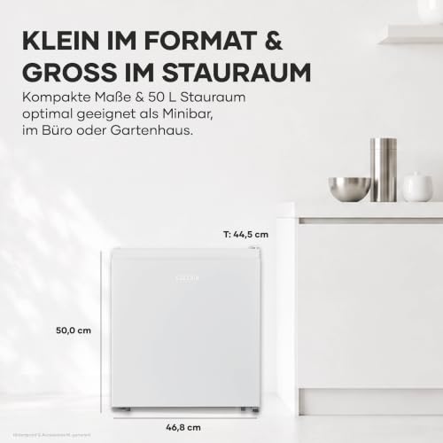 Detalle de SEVERIN Kühlbox KB 8884 – 50 L, leise, Kältefach, Türanschlag wechselbar, 44,5 cm Breite, weiß