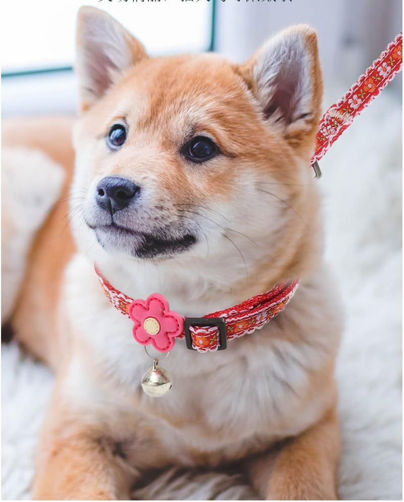 Detalle de Dog Collar and Leash Set, Nylon