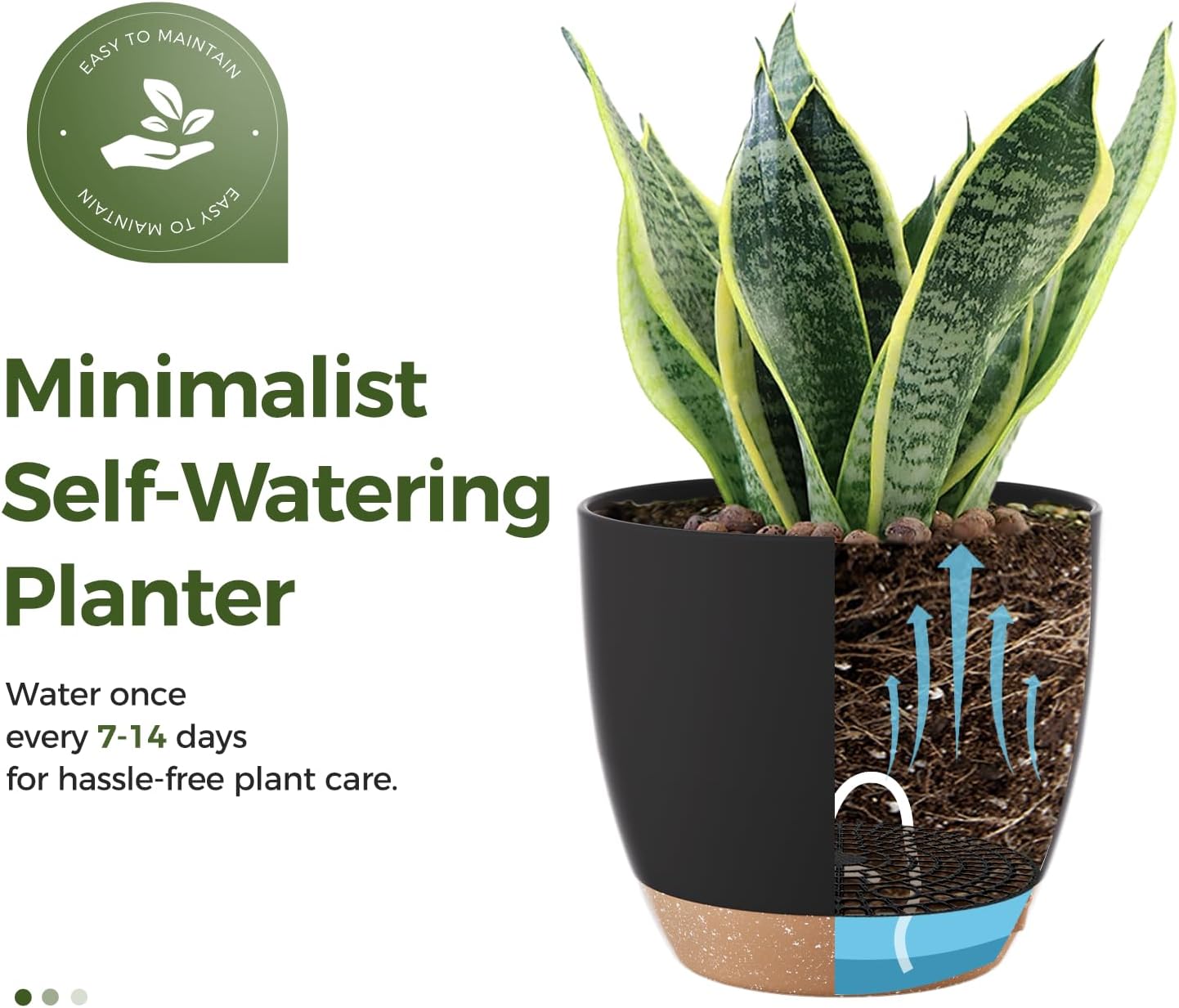 Thumbnail 5 de Bamworld Self Watering Plant Pots Set of 6 20.3 cm