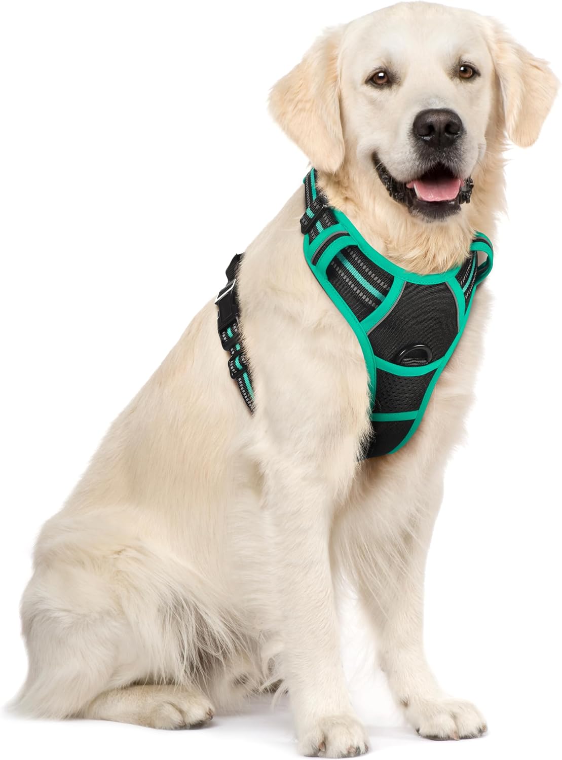 Detalle de rabbitgoo Hundegeschirr Größe XL mit Anti-Zug & Schnellverschlüssen – verstellbar, atmungsaktiv und mit Reflexstreifen (schwarz & grün)
