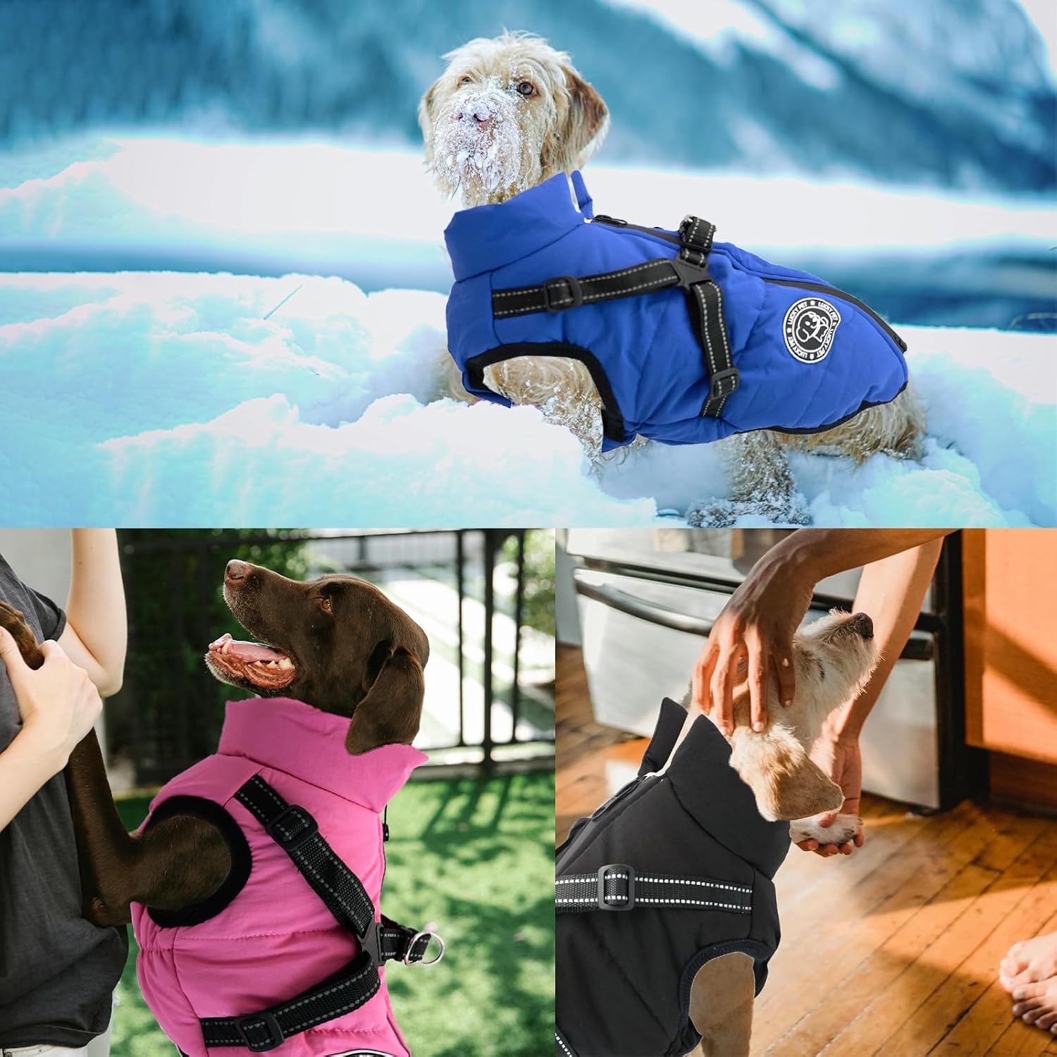 Thumbnail 4 de Waterproof Dog Coat with Harness Built in 3 Sizes