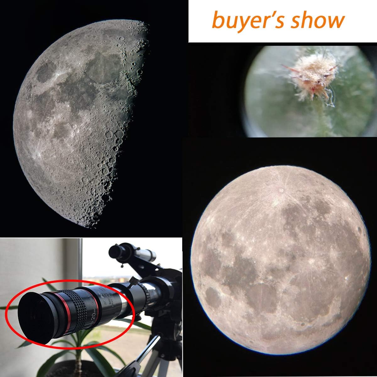 Detalle de Svbony Oculare 1.25" Kit Oculare Telescopio 4 focali 6/9/15/20 mm con campo visivo 68°