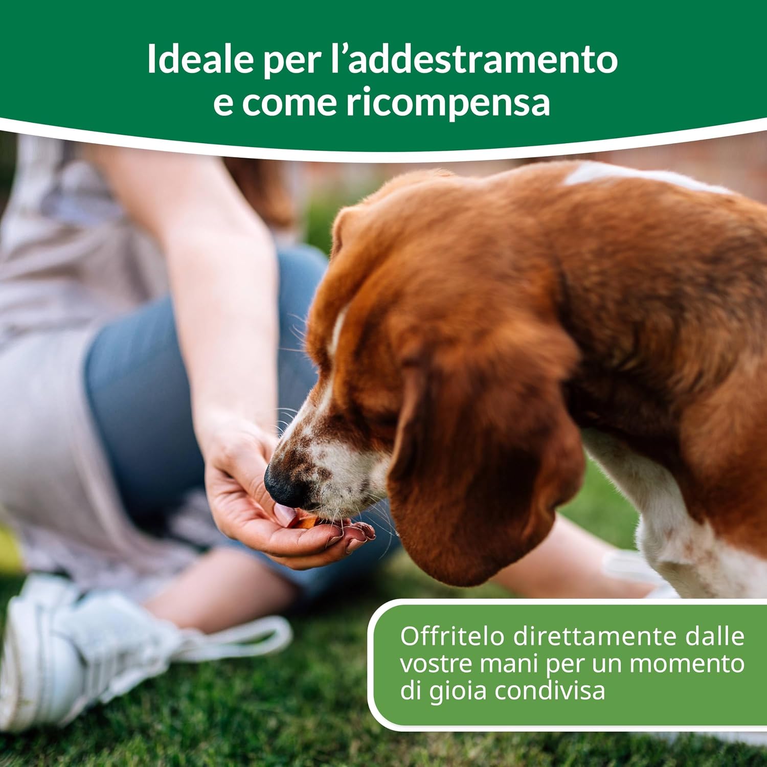 Detalle 2 de INABA Churu Bites Snack per Cani – Bocconcini di Pollo in 4 Gusti, 16 Monoporzioni da 12 g