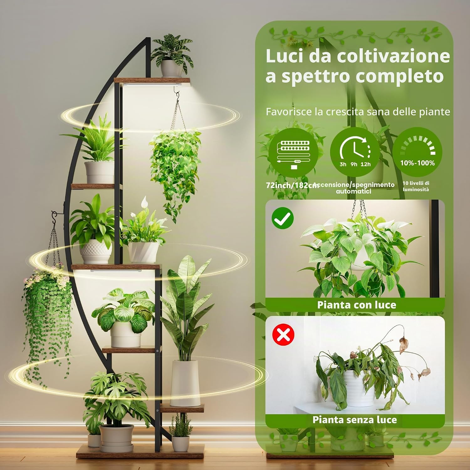 Detalle 2 de BACEKOLL Supporto per piante da interno con luci di coltivazione a 6 livelli e design mezzaluna