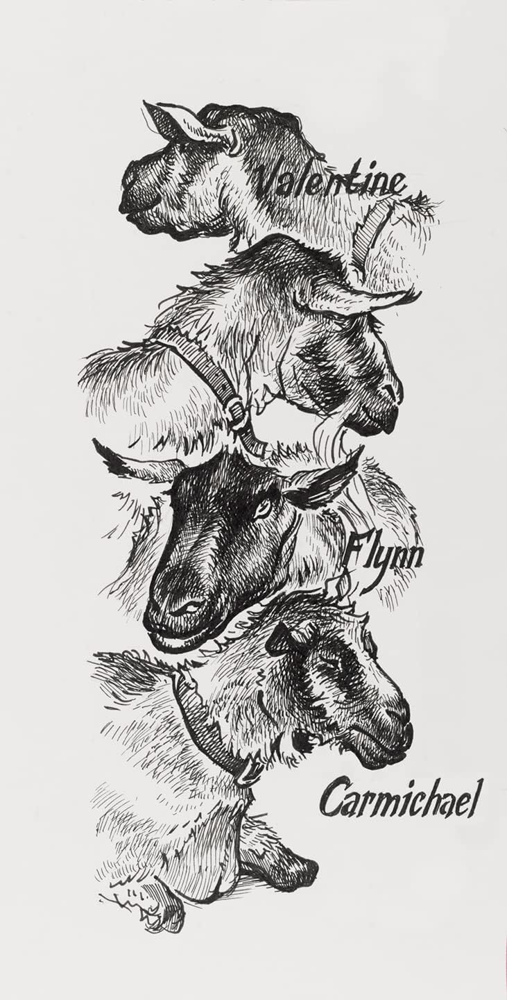 Thumbnail 4 de Faber-Castell Pitt Artist Pen Set di 4 Pennarelli – Nero Impermeabile e Resistente alla Luce