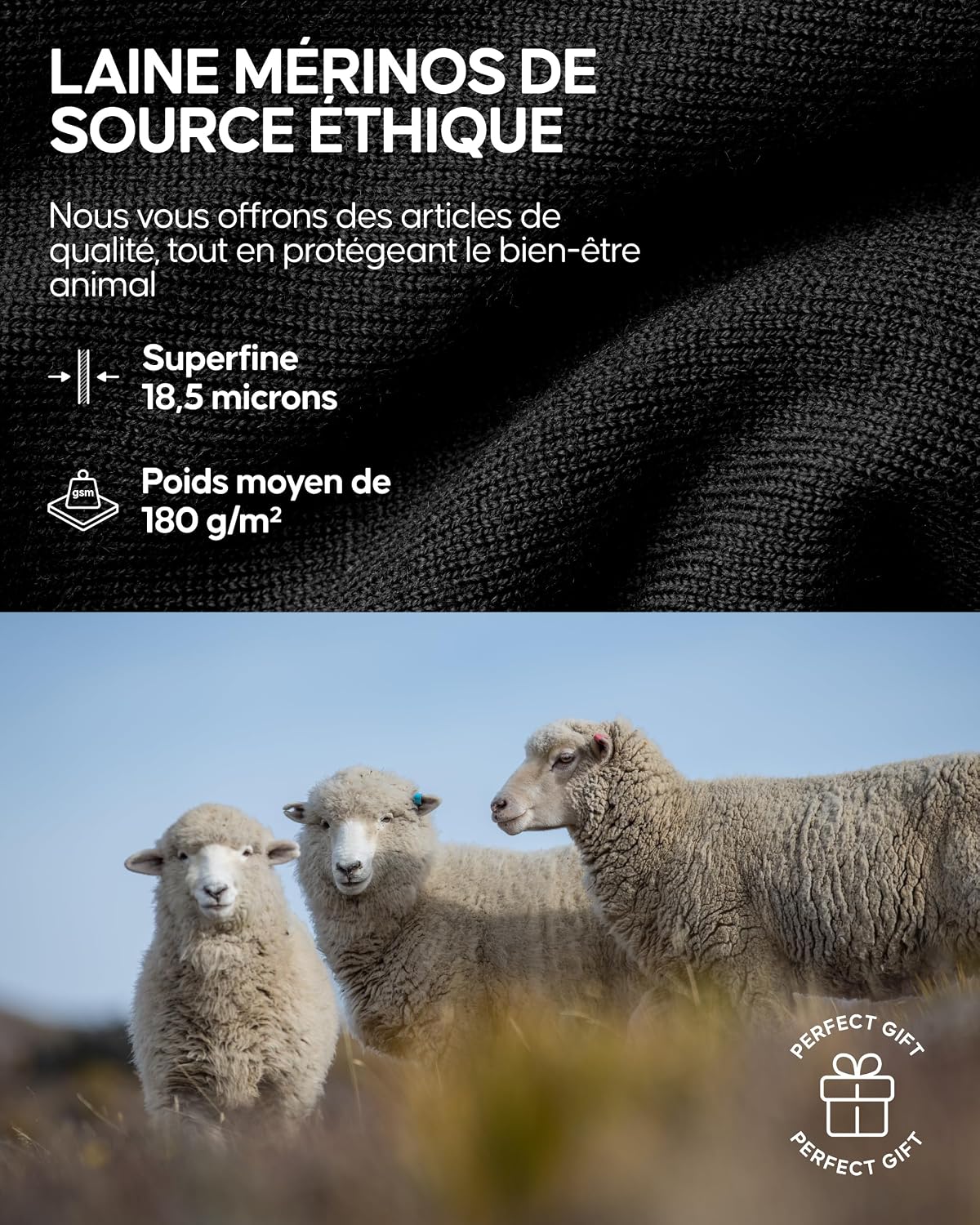Thumbnail 4 de DANISH ENDURANCE T-shirt couche de base en laine mérinos (manches courtes) pour homme