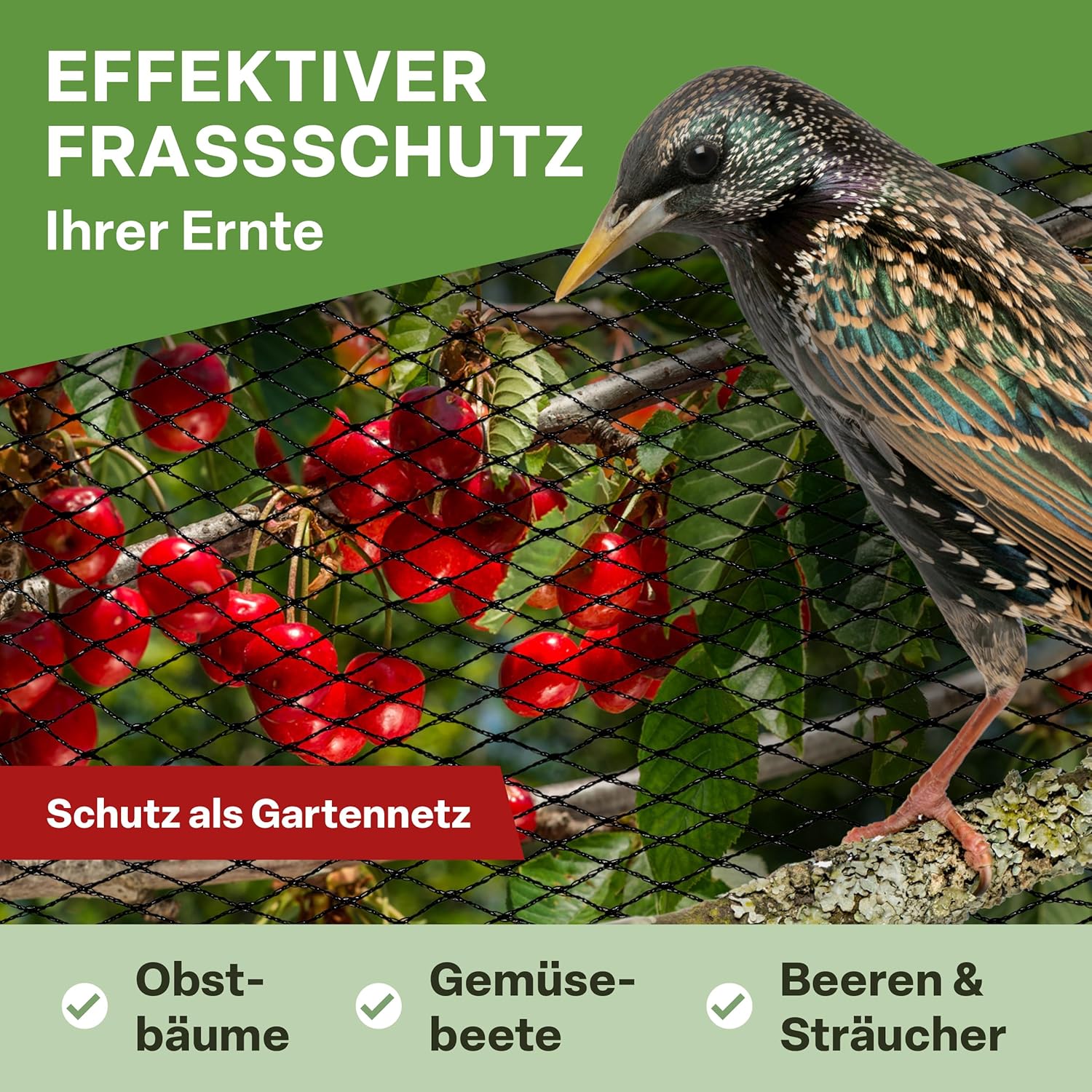 Thumbnail 4 de TTL GARDEN 10x10 m Teichnetz Vogelschutznetz schwarz, 30 g/m², 12x12 mm HDPE – inkl. 14 Bodenanker